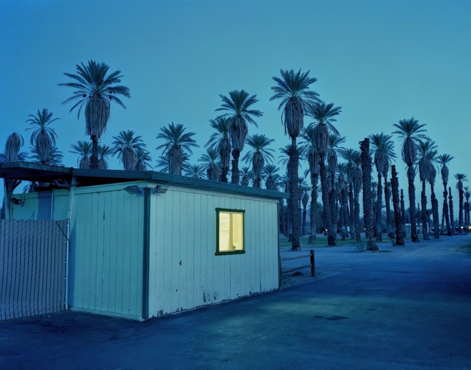 © Marcus Doyle - Hut and Palms at night