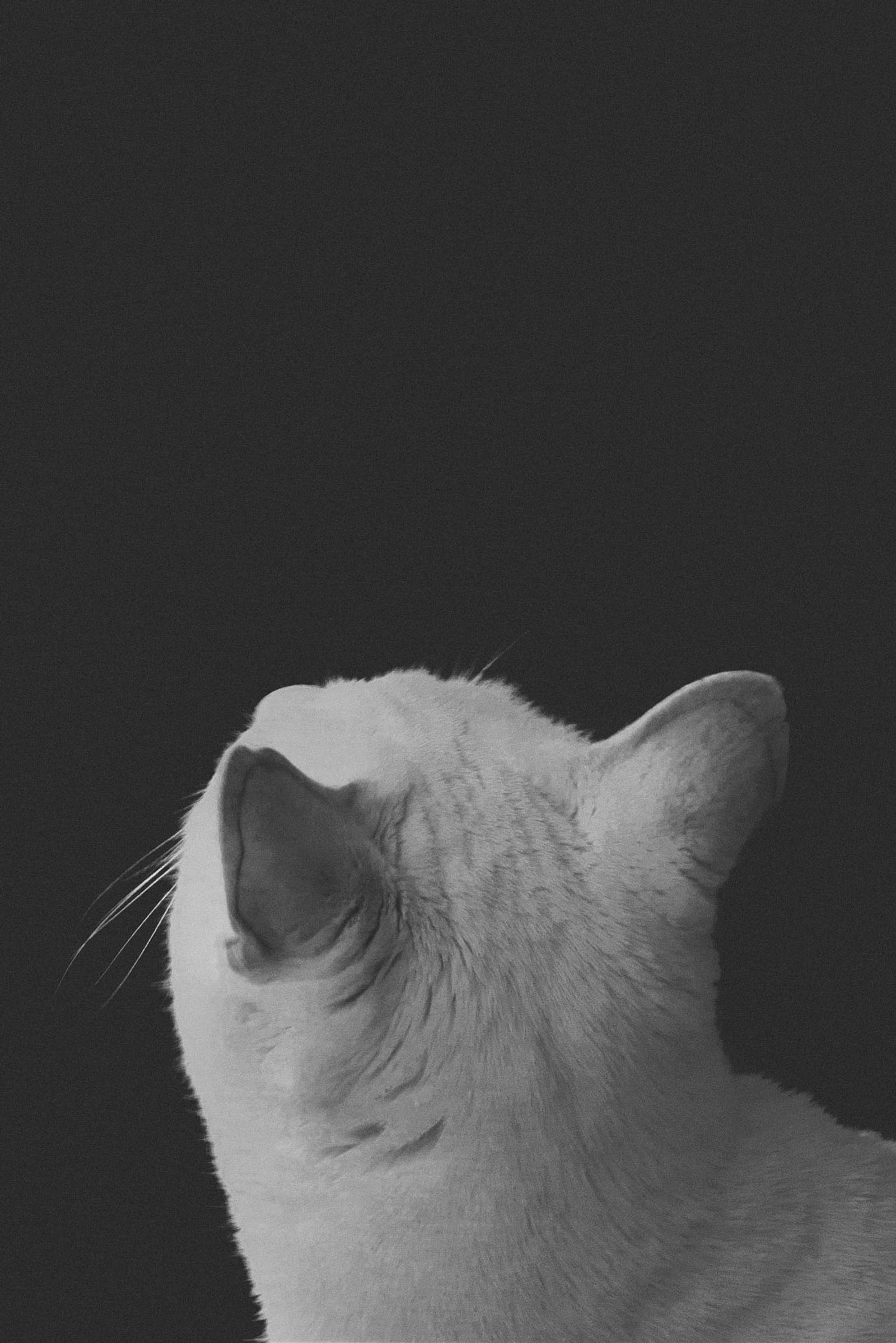 © Sophie Gabrielle - Image from the BL_NK SP_CE photography project