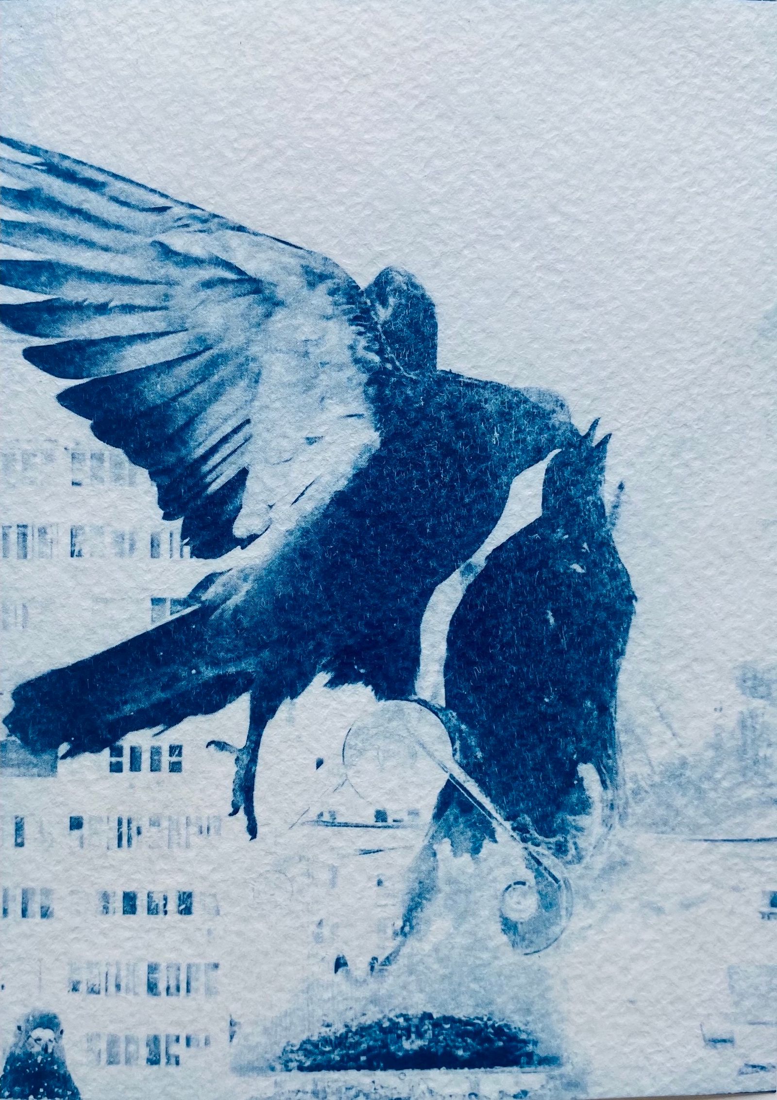 © Ida Anderson - Image from the Blue Valentines photography project