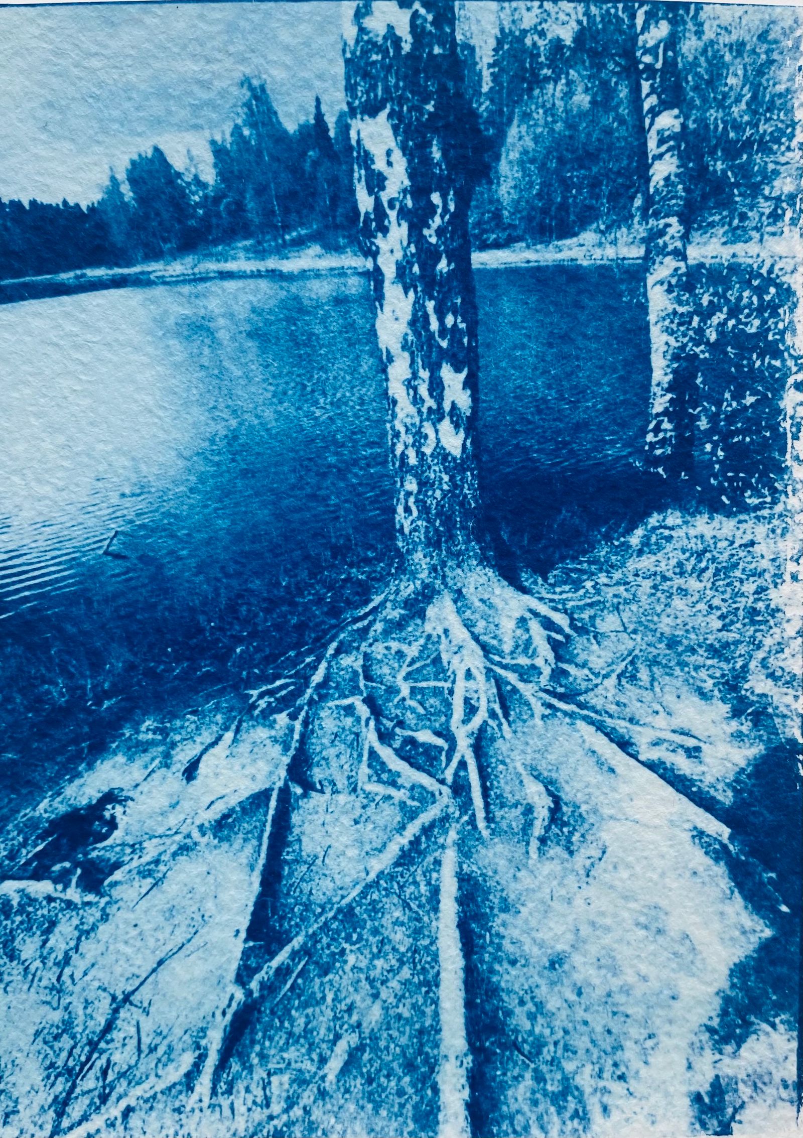 © Ida Anderson - Image from the Blue Valentines photography project
