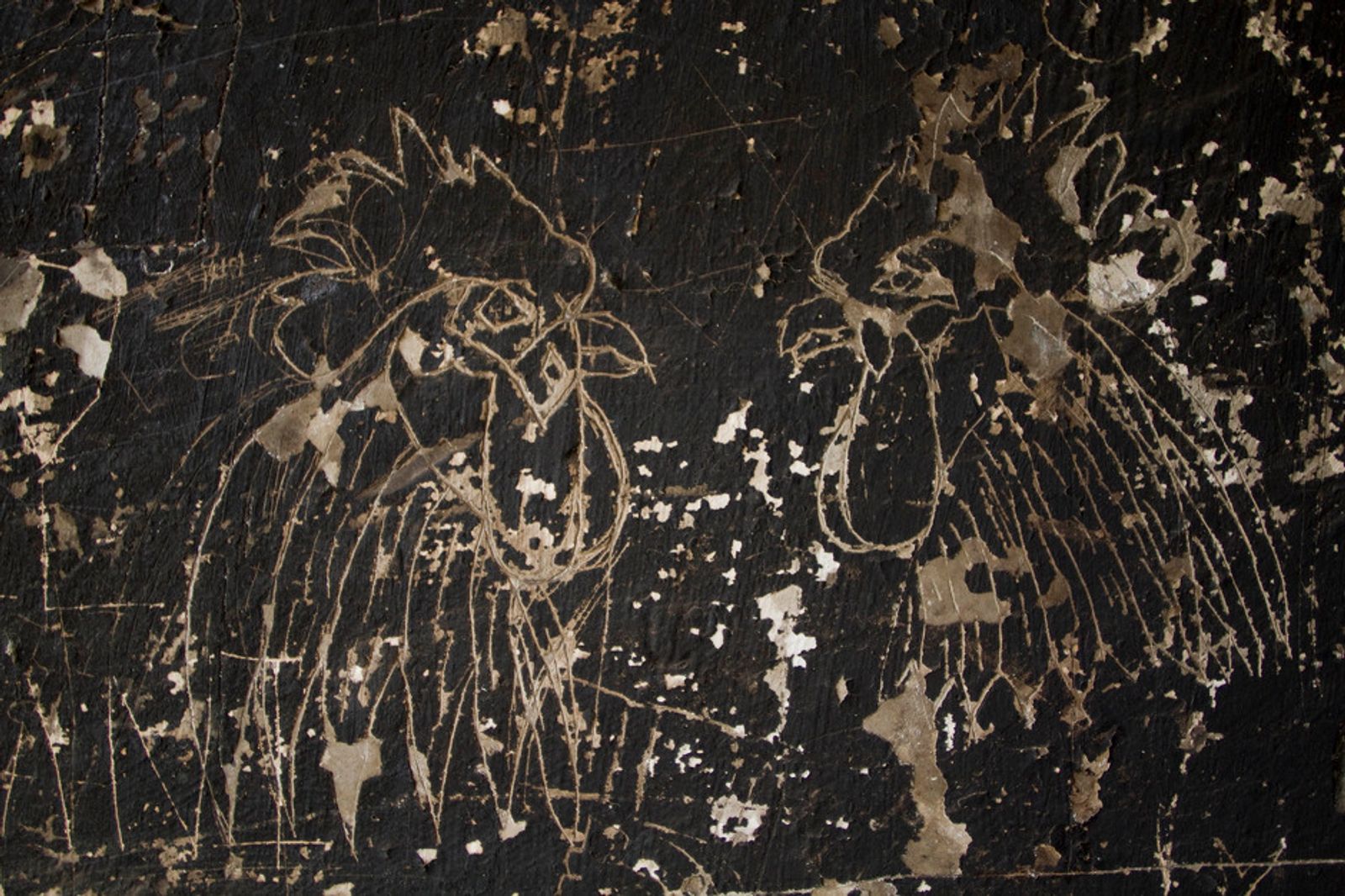 © Carlos Pozo Alban - Image from the Páramo photography project