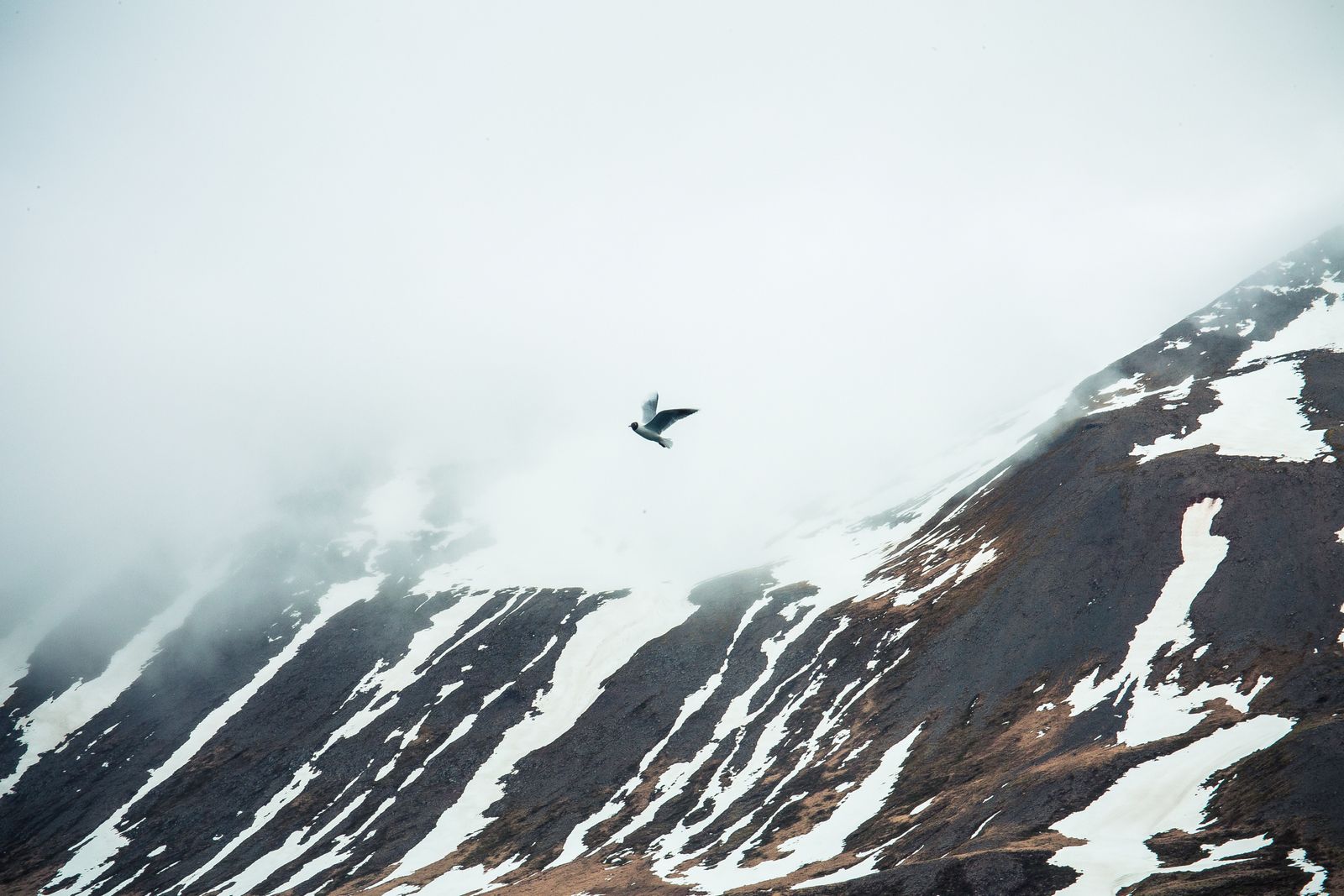 © Claudia Cuomo - Image from the The Ring - 2451 km of Iceland photography project