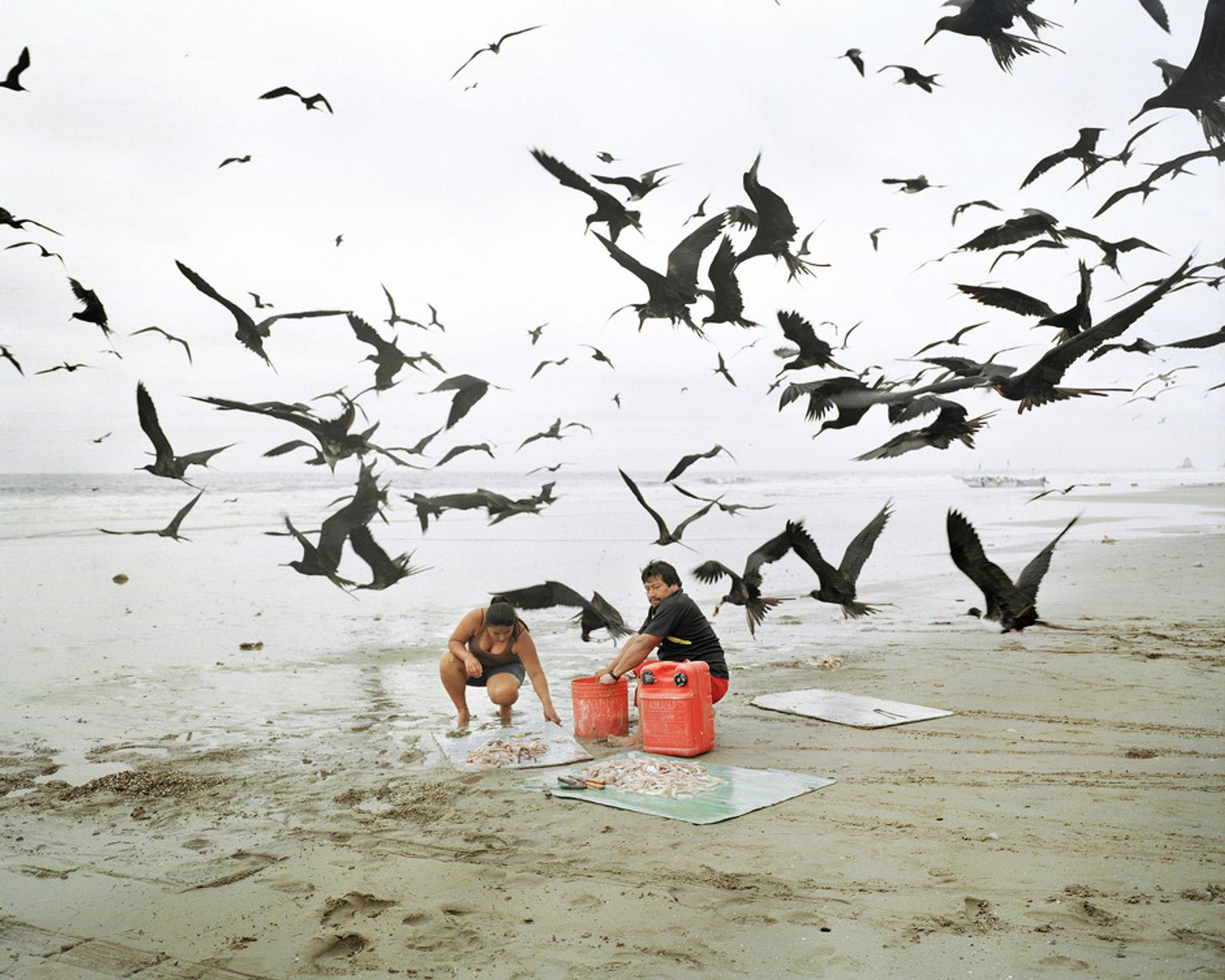 © Pietro Paolini - A fisherman cleans the fish with his wife on a beach in Manabì. October 2012.
