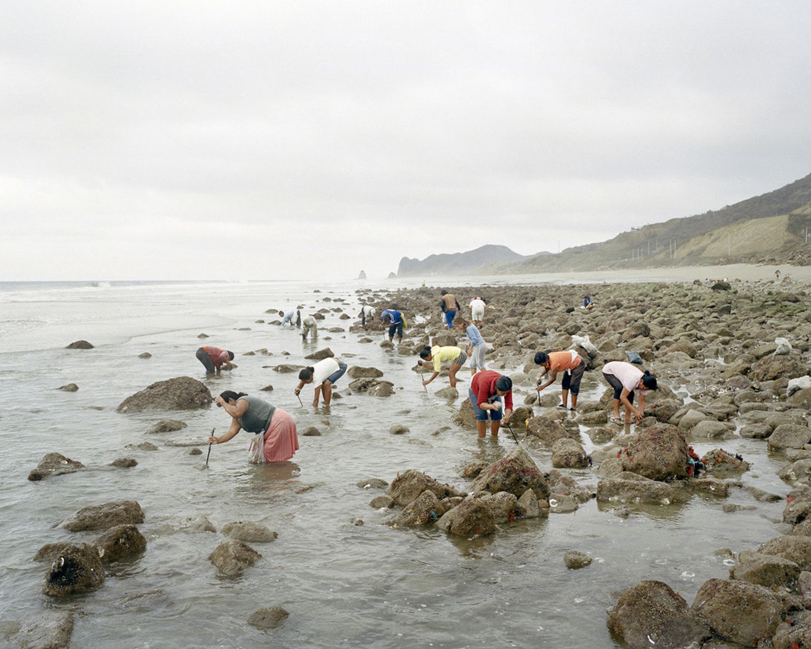 © Pietro Paolini - Collectors of shells in the bay of San Lorenzo, one of the wilder zone of the Ecuadorian coast. October 2012