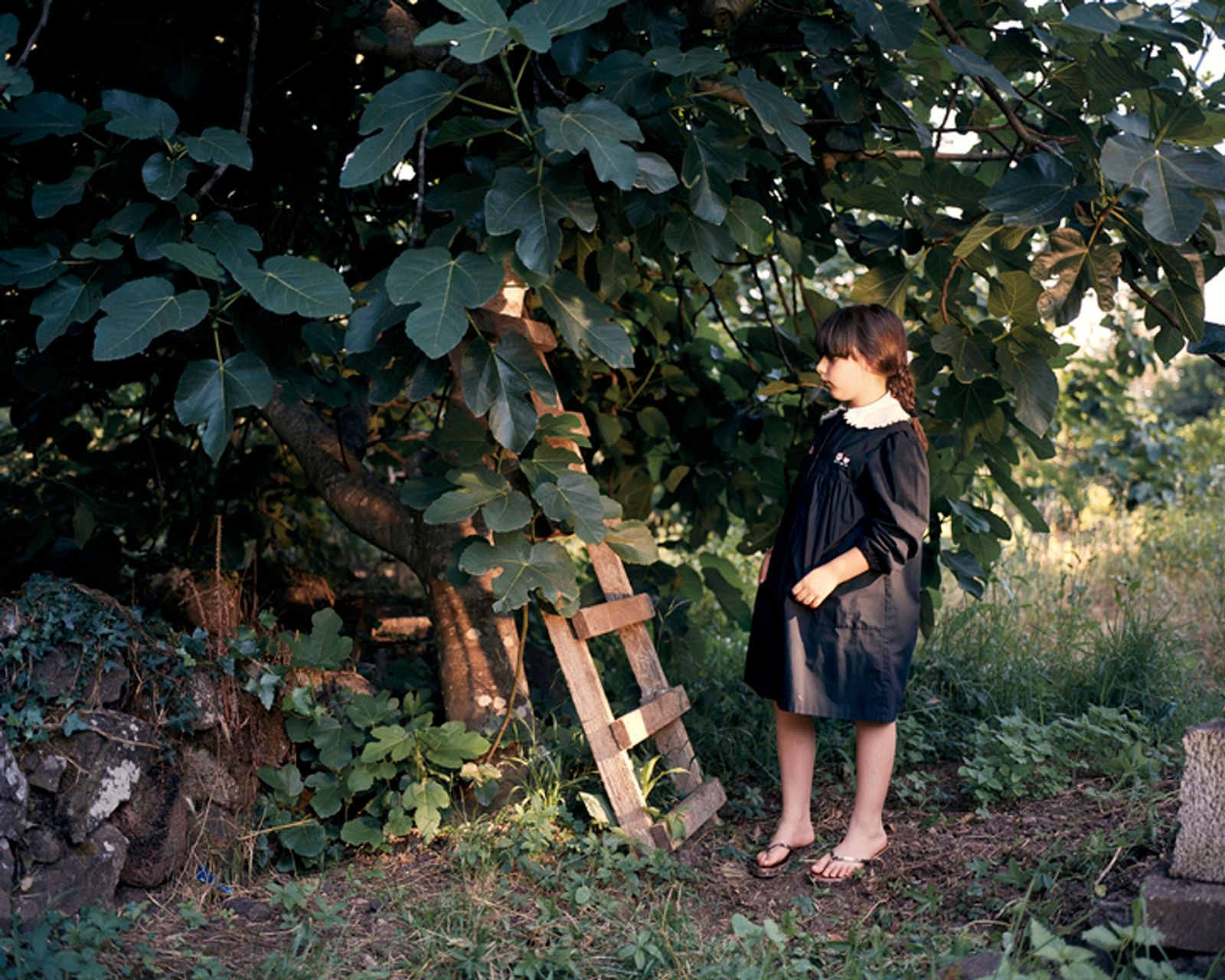 © Marisa Portolese - From the series Antonia's Garden 24 x 30 inches, c-print, 2011