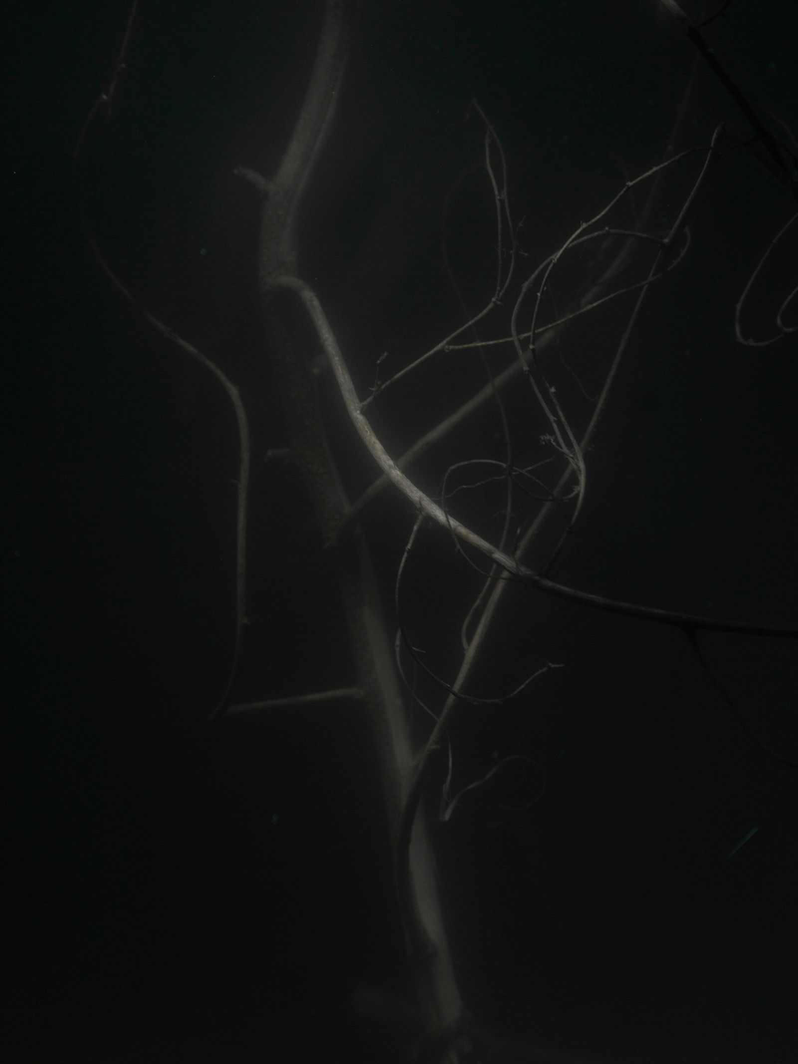 © Pietro Lo Casto - Image from the New Gods photography project