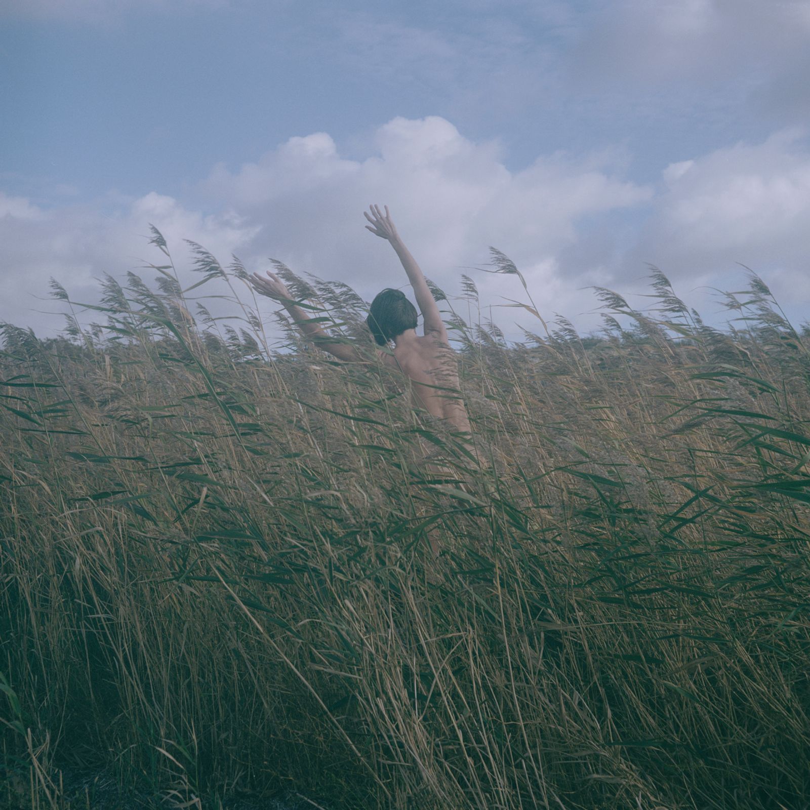 © Charlotta Hammar - Trying to be reed