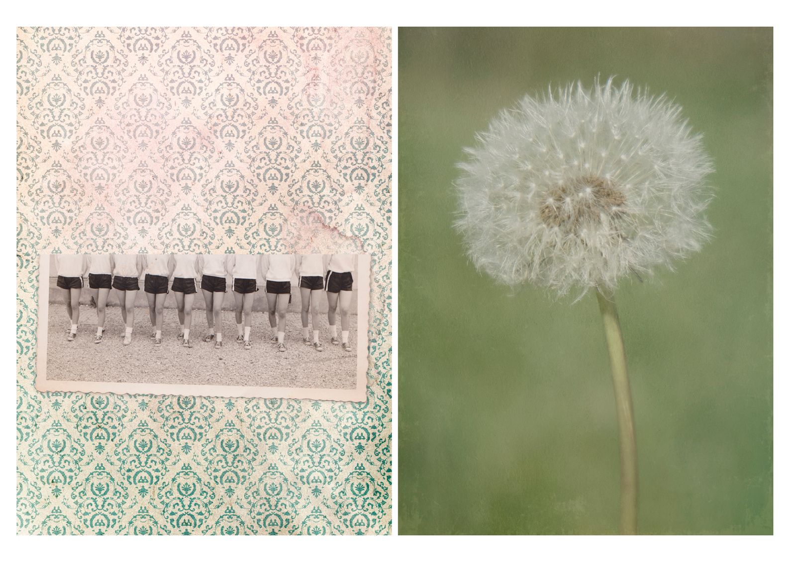 © Nicoletta Cerasomma - memories and dreams