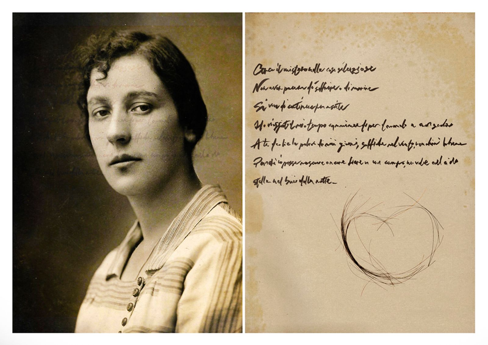 © Nicoletta Cerasomma - Image from the Cryptic Venus photography project