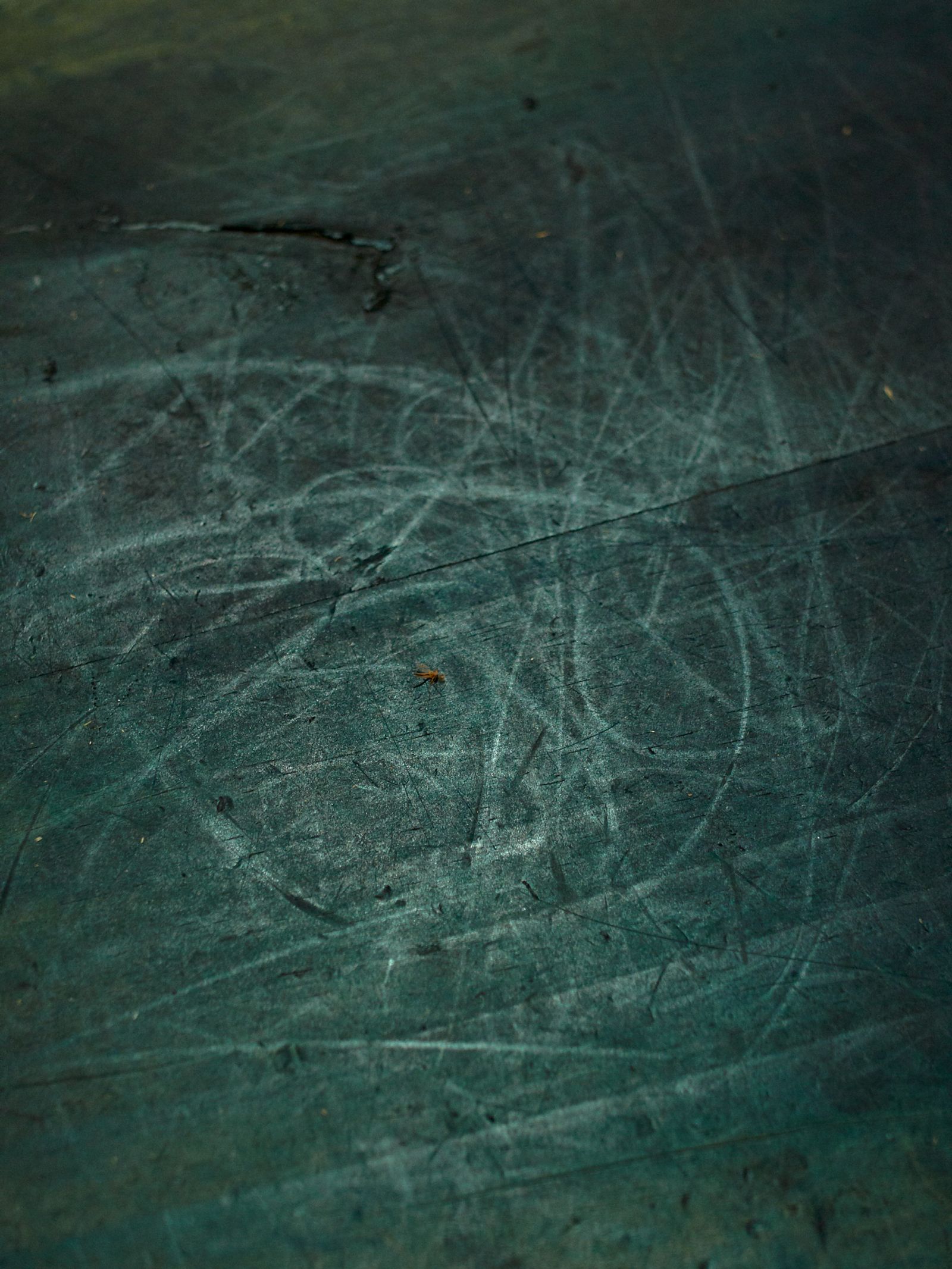 © Joel Jimenez - Image from the Castle of Innocence photography project