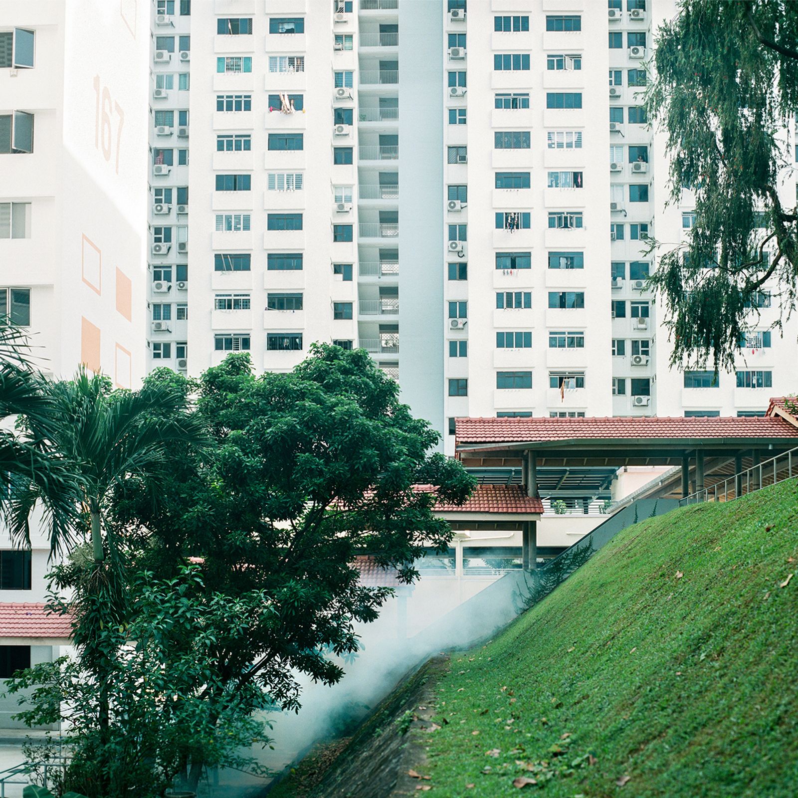 © Kathy Anne Lim - Uphill Rising, Singapore 2020