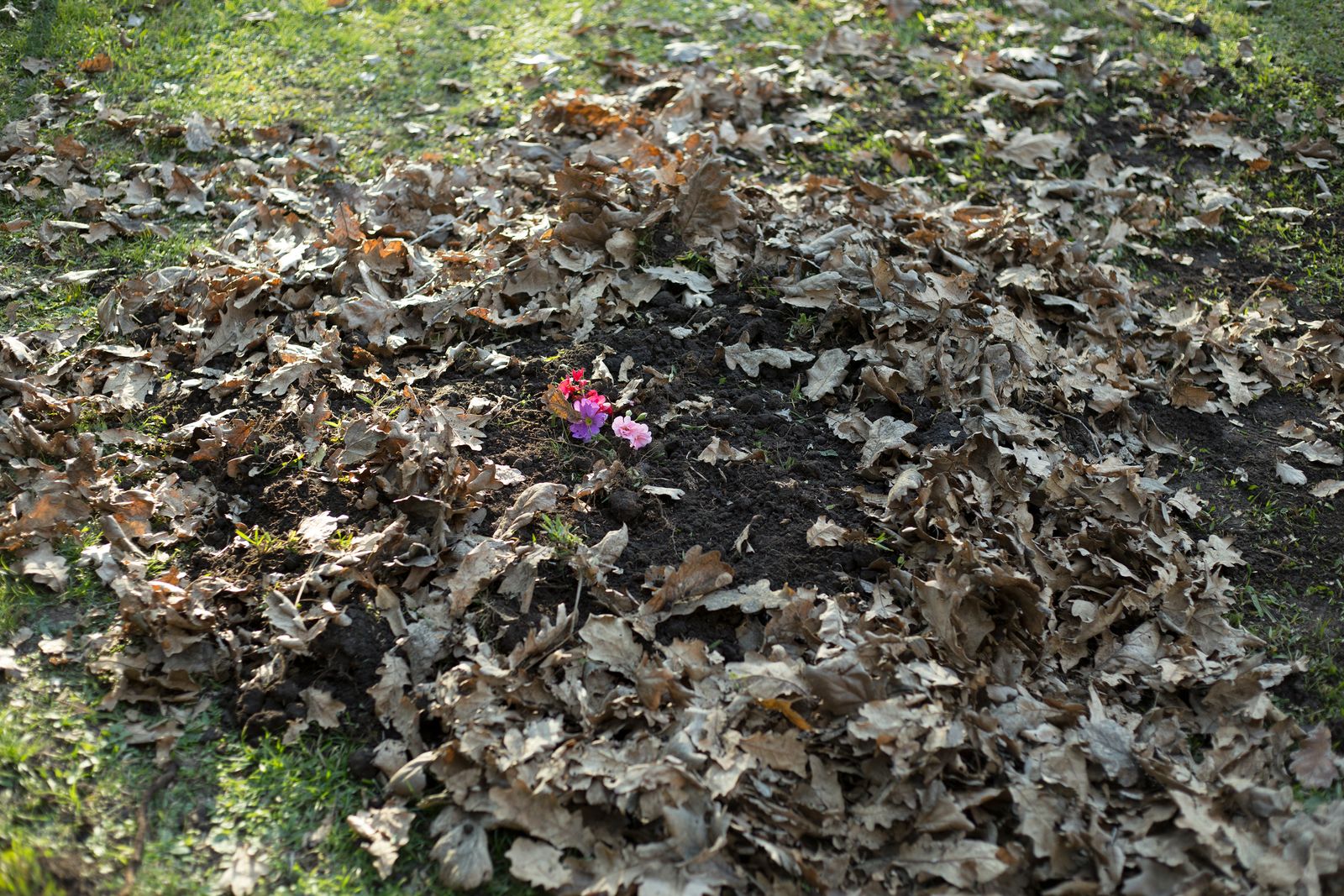 © Catalina Calvo Doval - Image from the poetry in daily life photography project