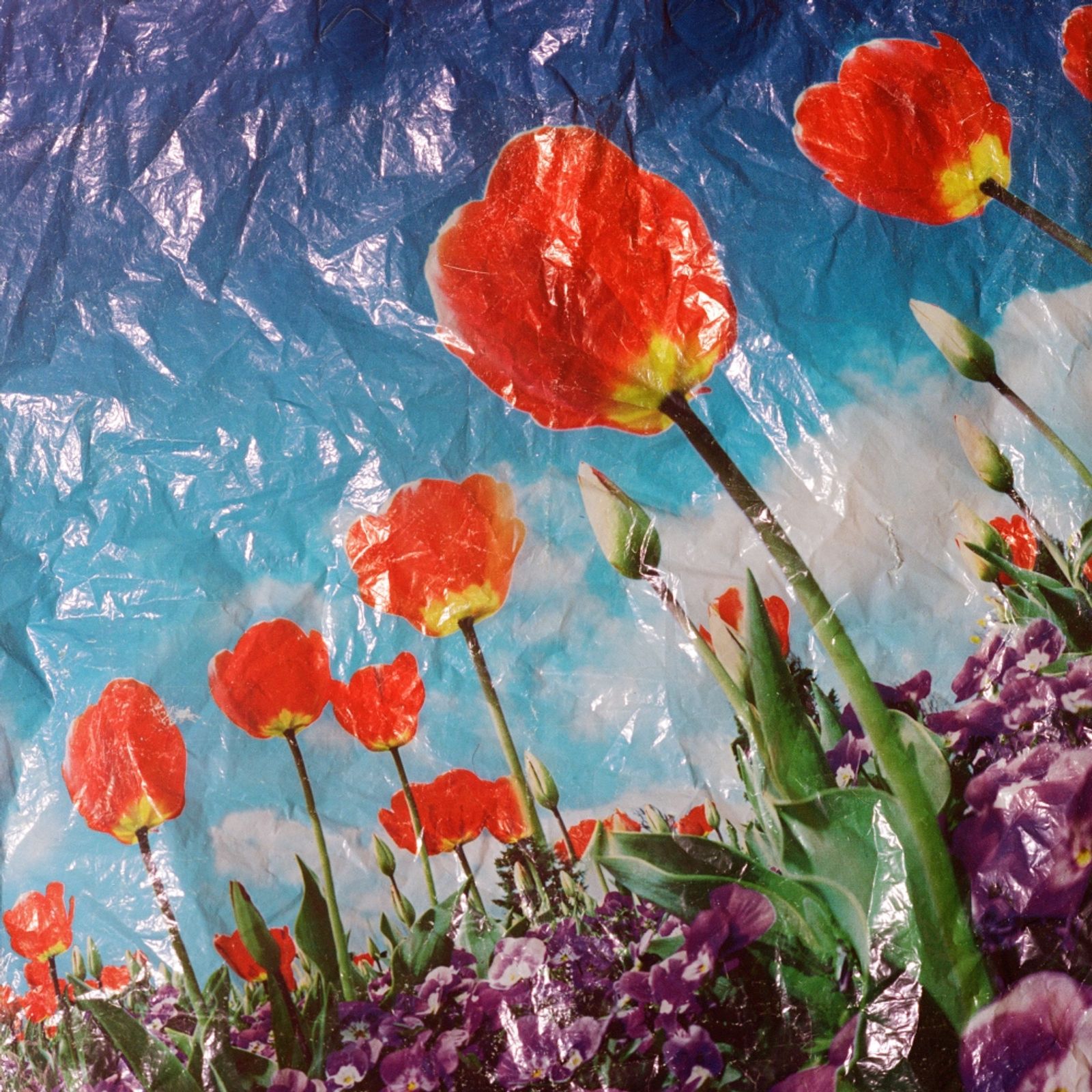 © Sofya Tatarinova - Image from the "Plastic bags" photography project