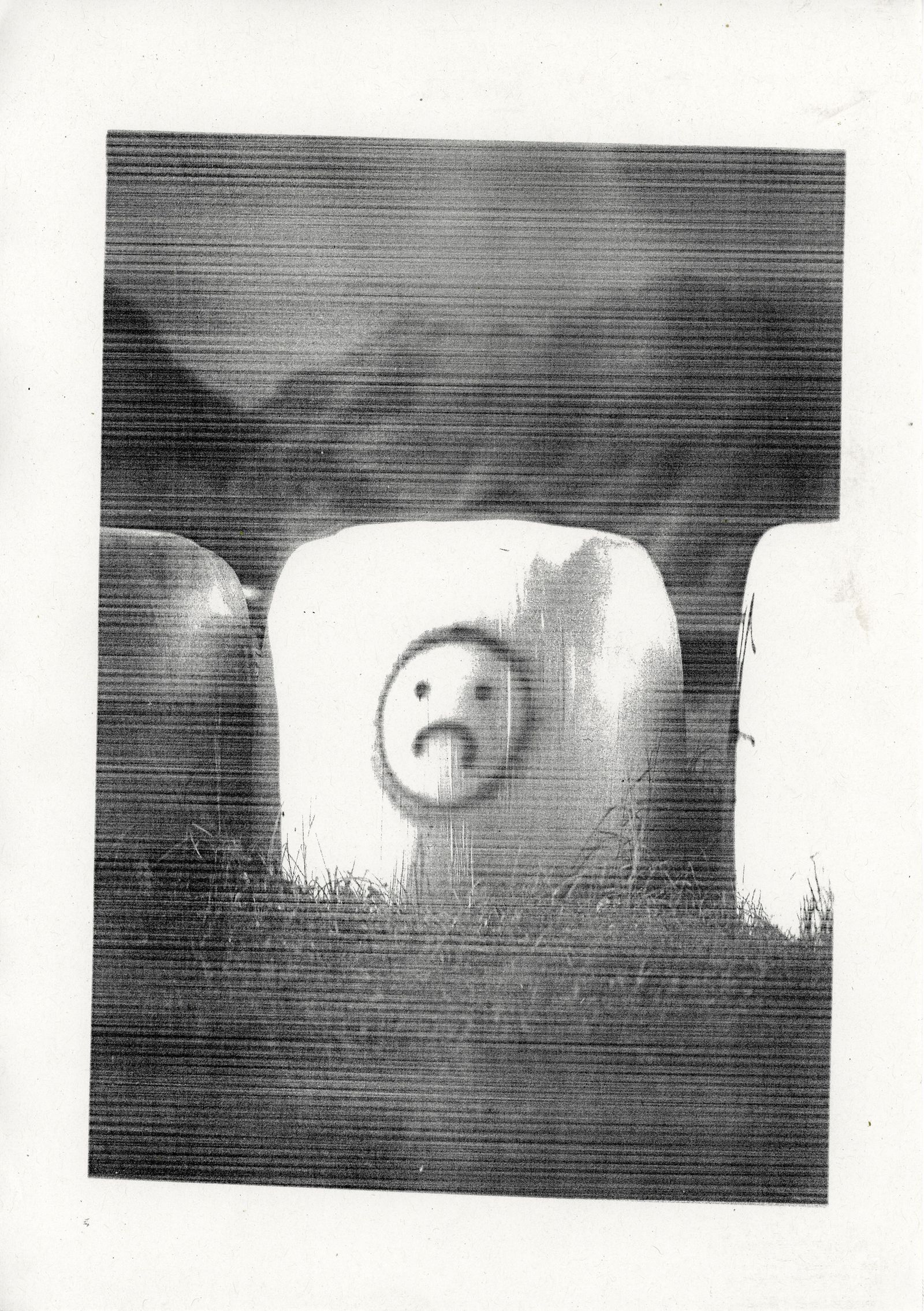 © Santiago Martinez - A4, Laser instant photograph