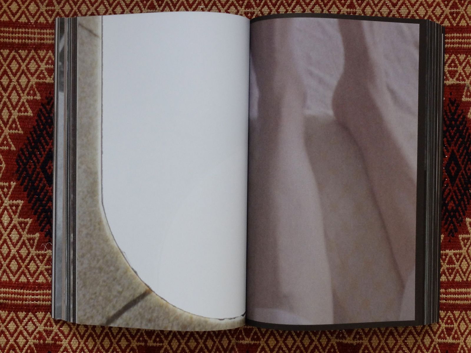 © Leporello Books - Image from the LA BETE A MODERN TALE by Yasmina Benabderrahmane photography project