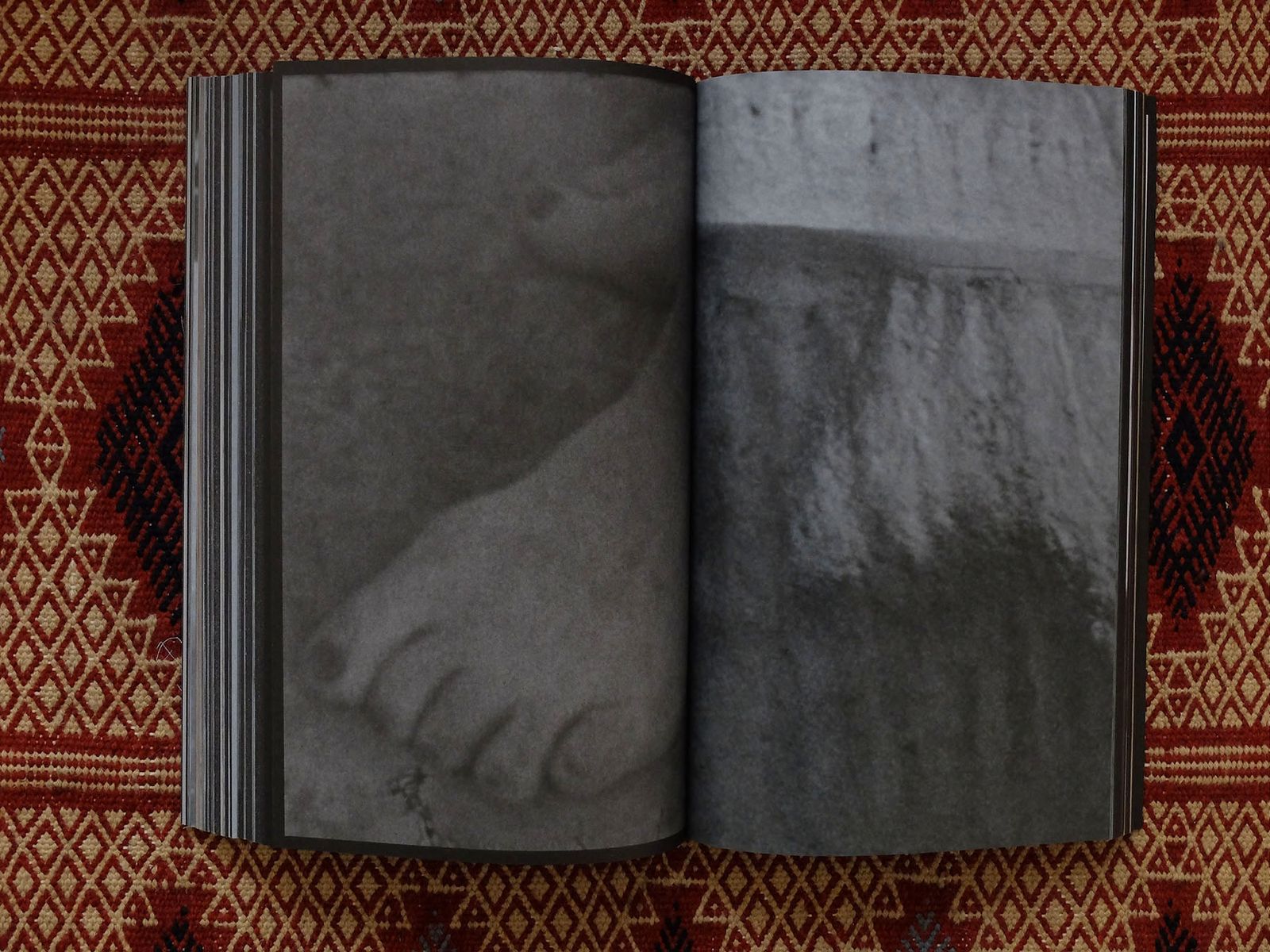 © Leporello Books - Image from the LA BETE A MODERN TALE by Yasmina Benabderrahmane photography project