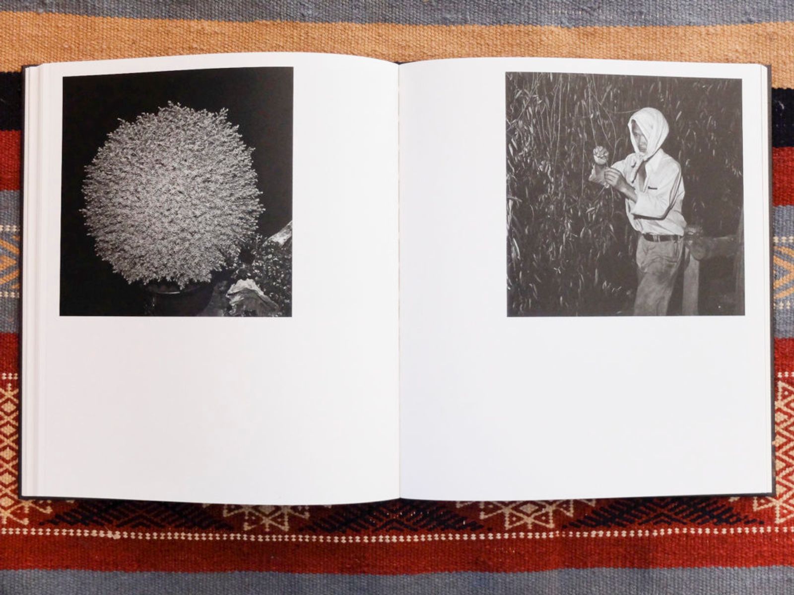 © Leporello Books - Image from the 78 by Issei Suda photography project