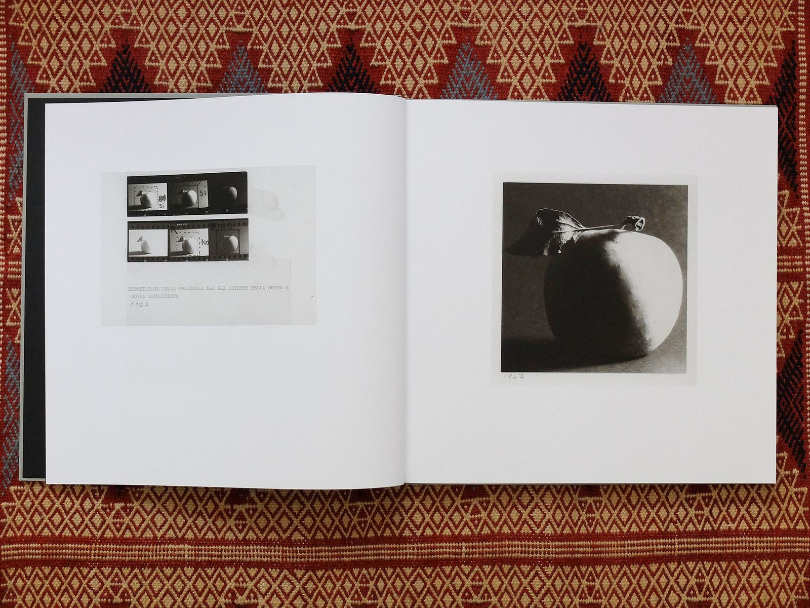© Leporello Books - Image from the LUNARIO, 1968-1999 by Guido Guidi photography project
