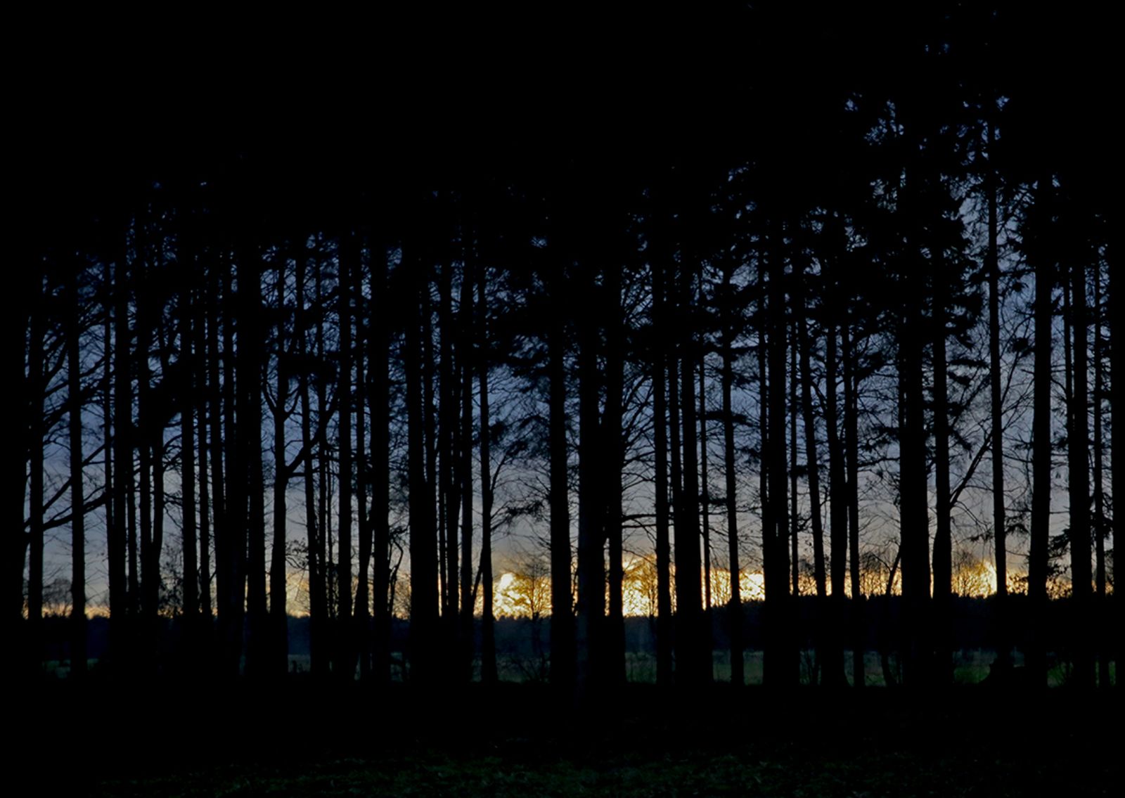 © Sina Niemeyer - Image from the Für mich. photography project