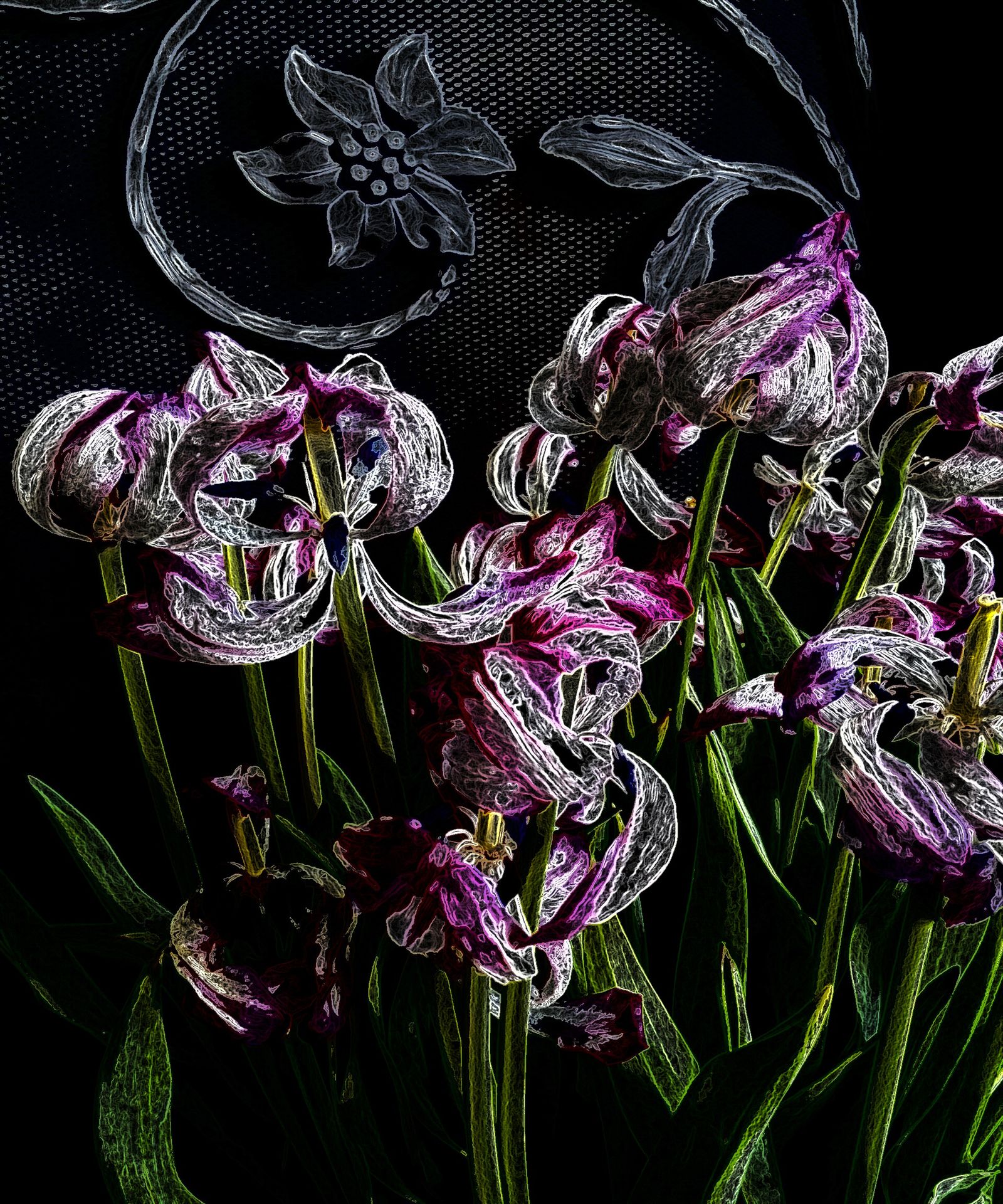 © Saskia Rueb - Decaying Tulips-2