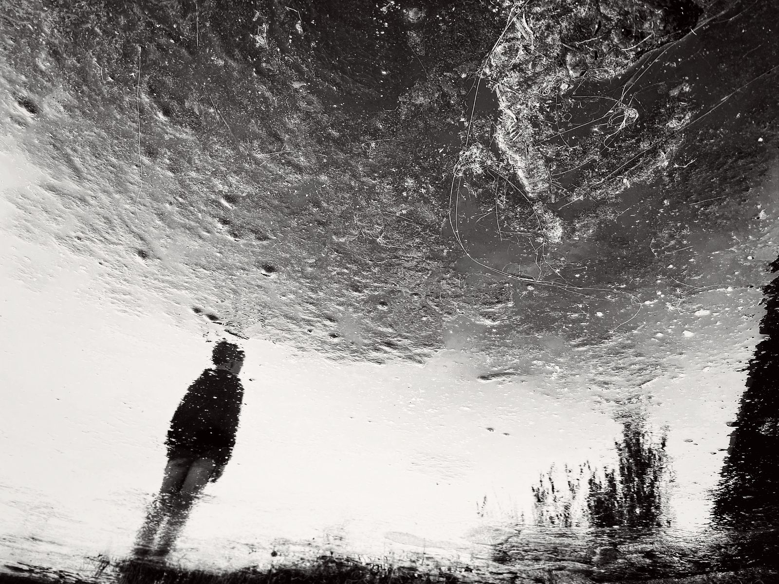 © Julia Zyrina - Stars by the handful, the distant frog pond