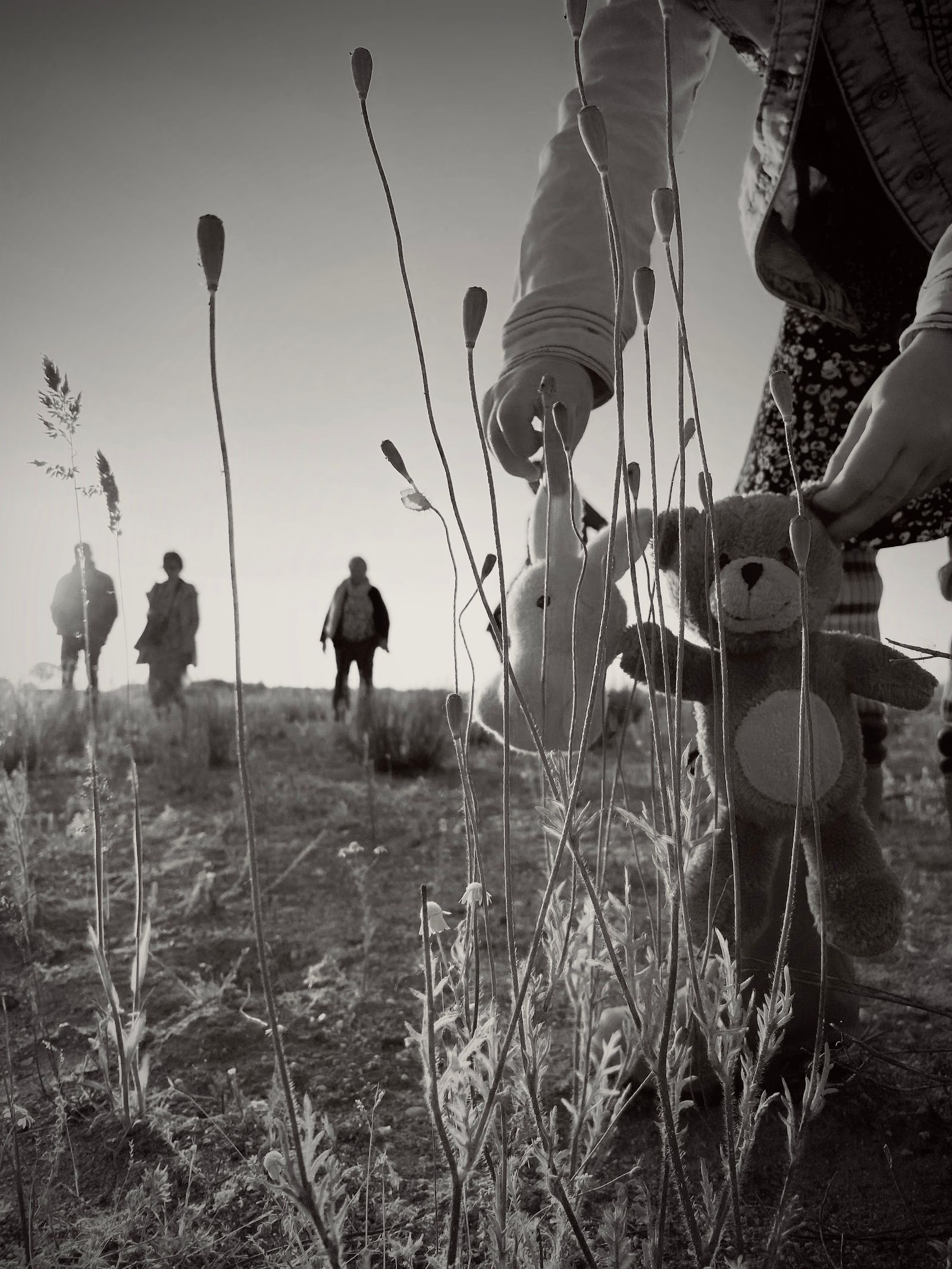 © Julia Zyrina - The faith that summer will never end