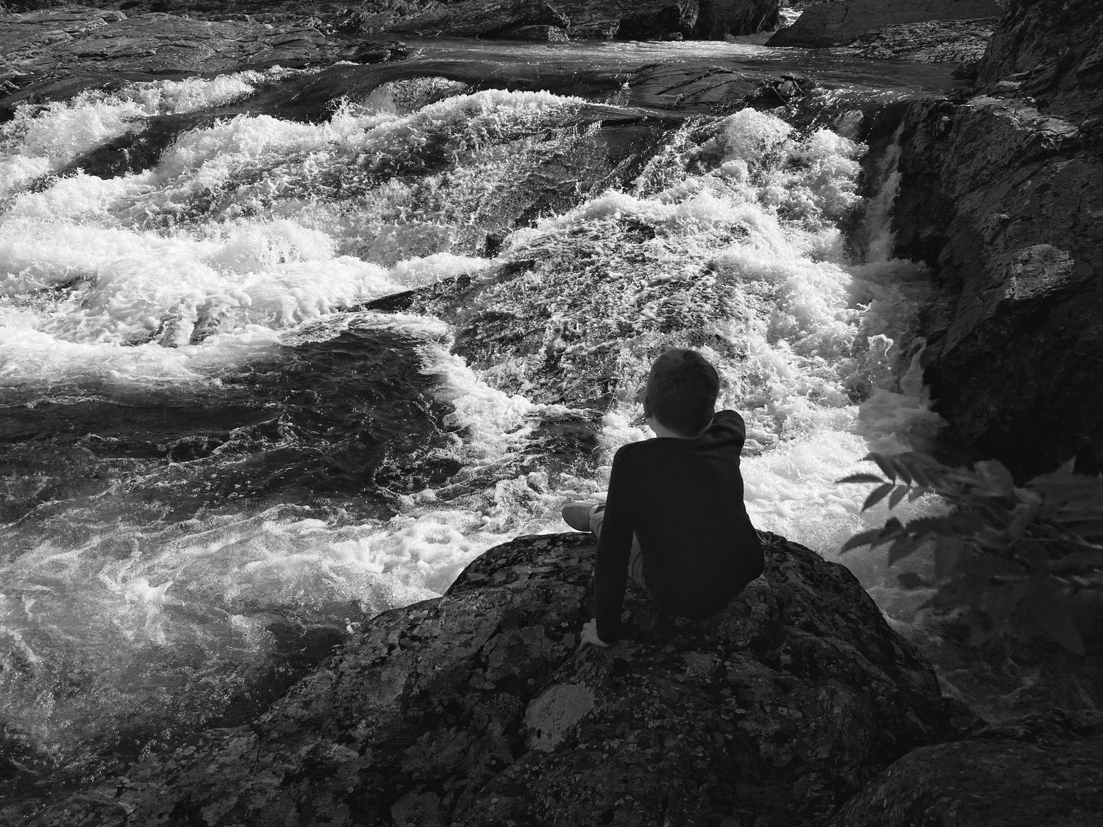 © Julia Zyrina - The waves around rise up like seals