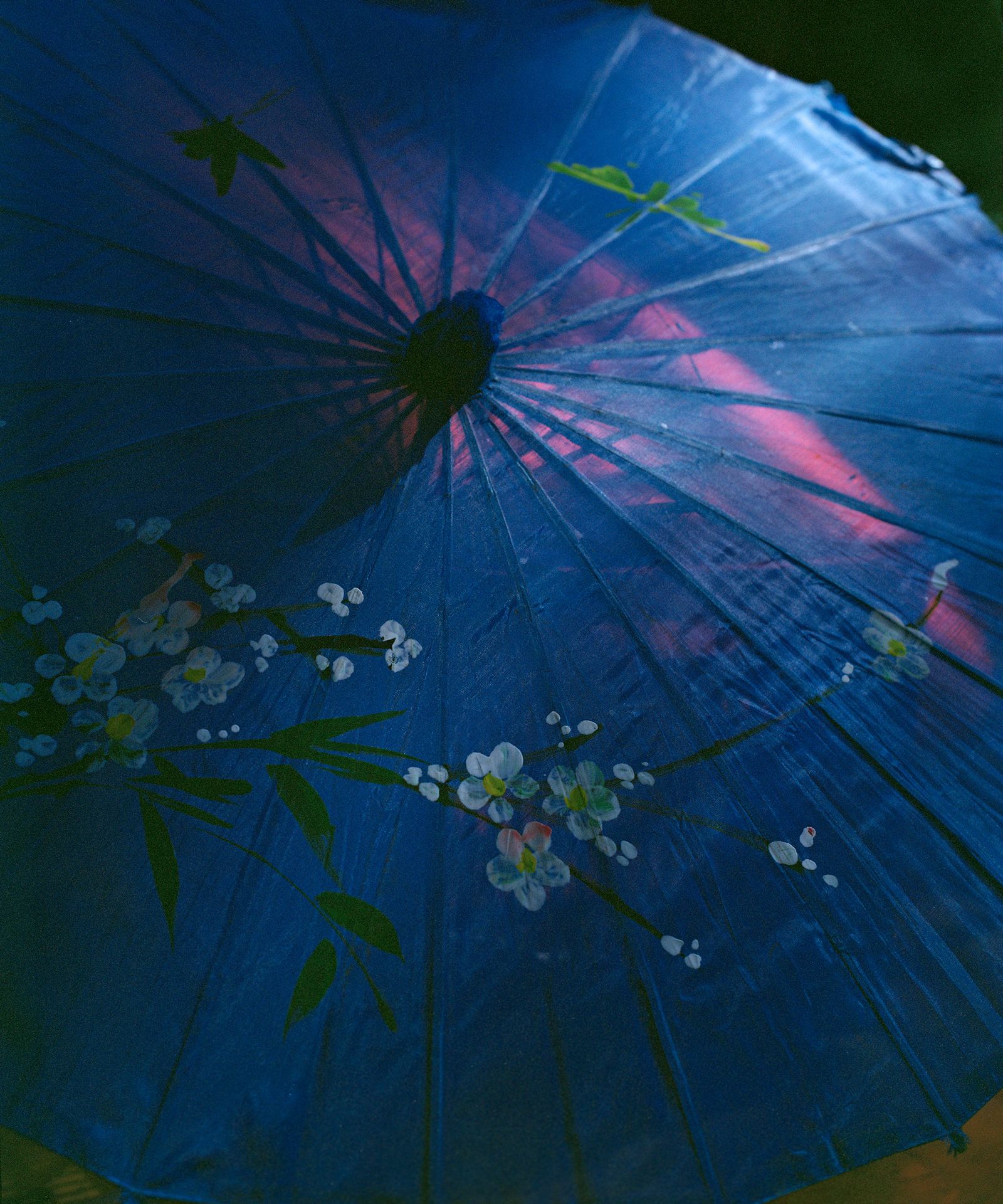 © teresa eng - Blue(Umbrella), 2015