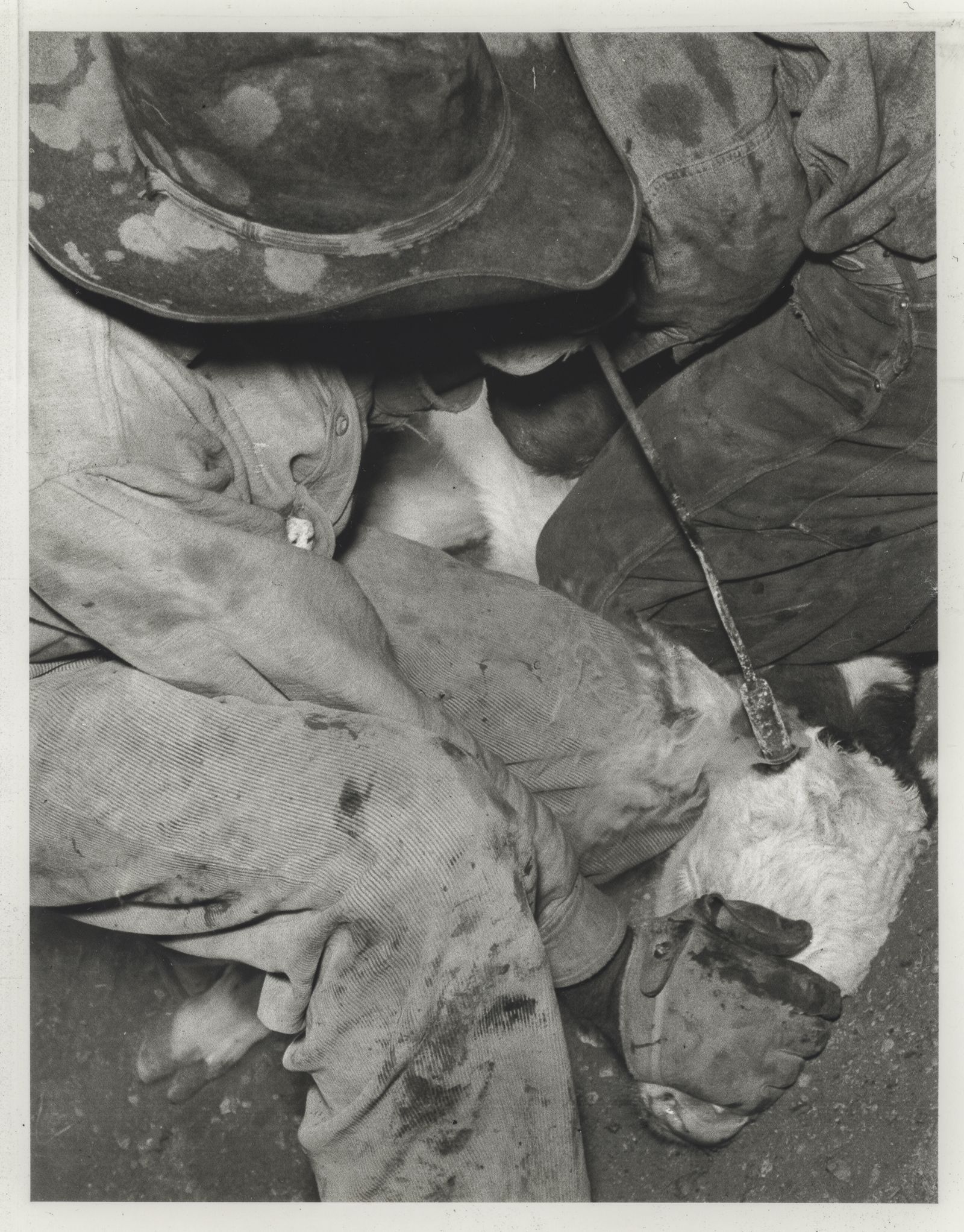 © J.A. Young - Angels no.121, silver gelatin on baryta paper (2025)