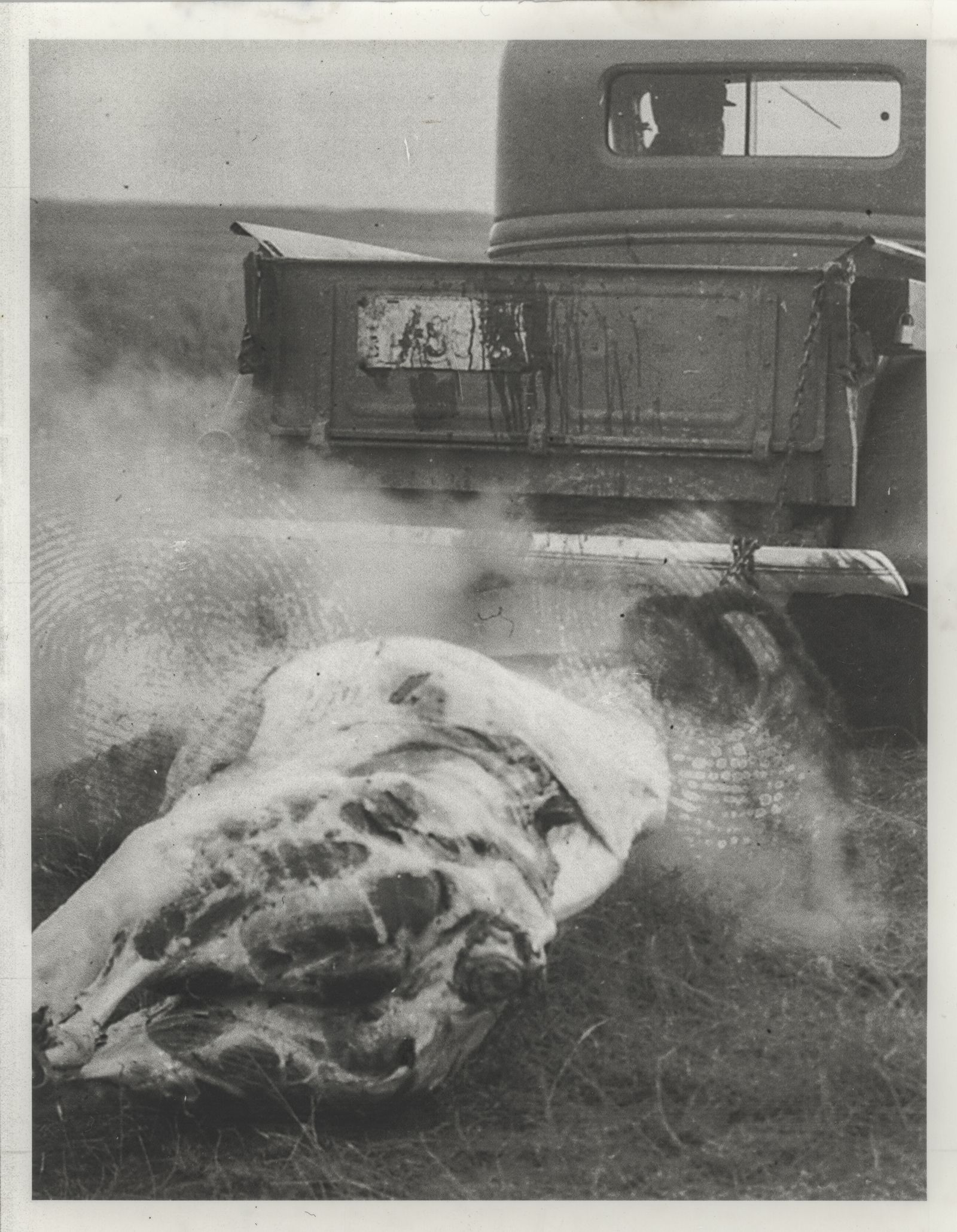 © J.A. Young - Angels no.130, silver gelatin on baryta paper (2025)