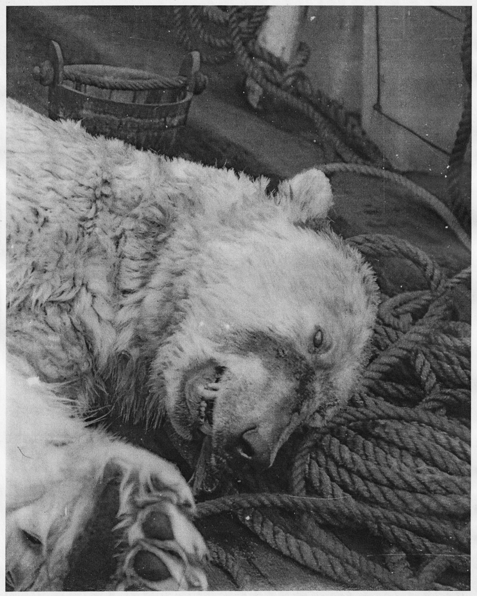 © J.A. Young - Image from the OF FIRE, FAR SHINING photography project