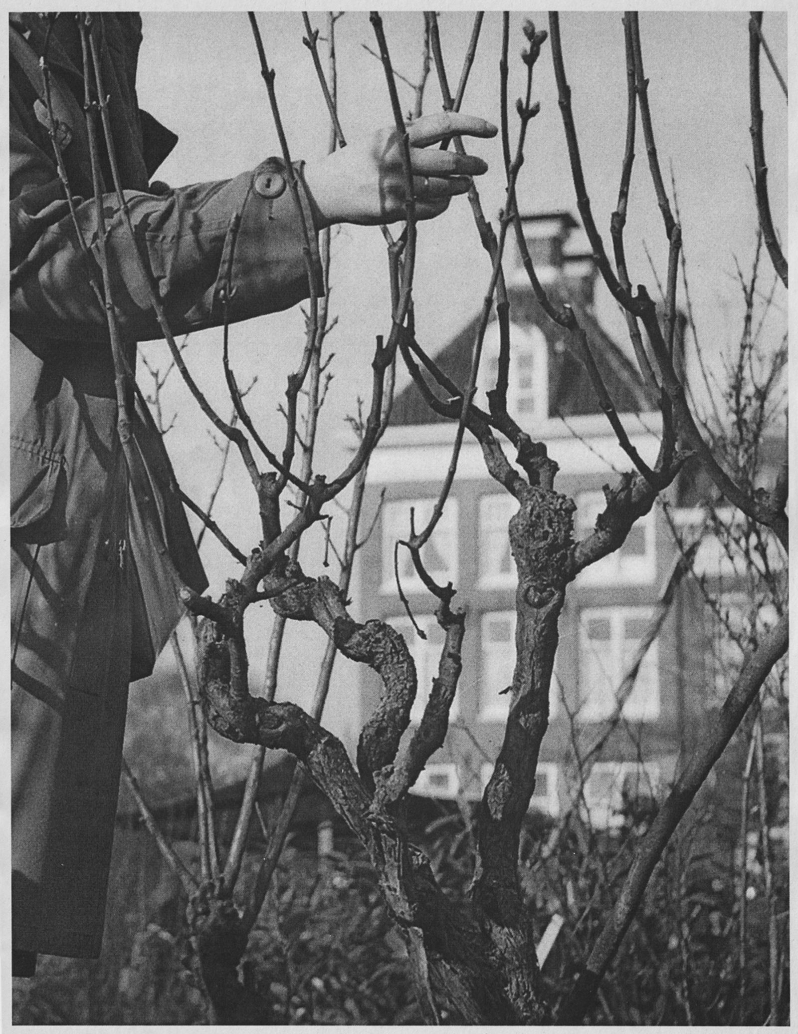 © J.A. Young - Image from the OF FIRE, FAR SHINING photography project