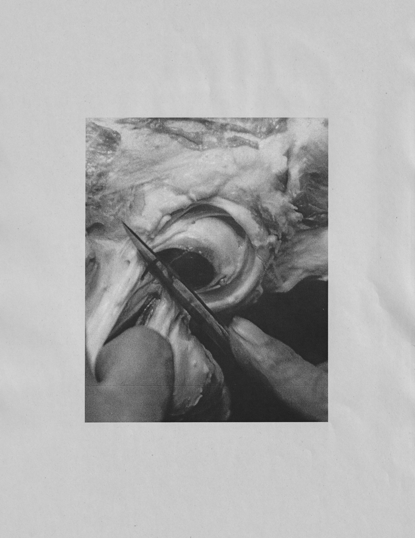 © J.A. Young - Image from the OF FIRE, FAR SHINING photography project