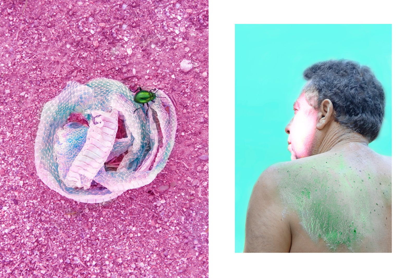 © Noemi Comi - Image from the Homo Saurus photography project