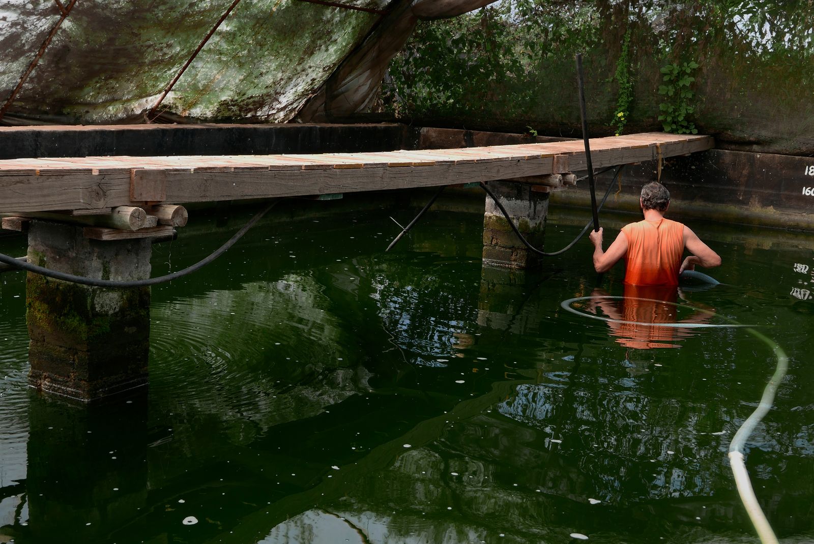 © Wendy Fredriksson - Cleaning the Fish Farm