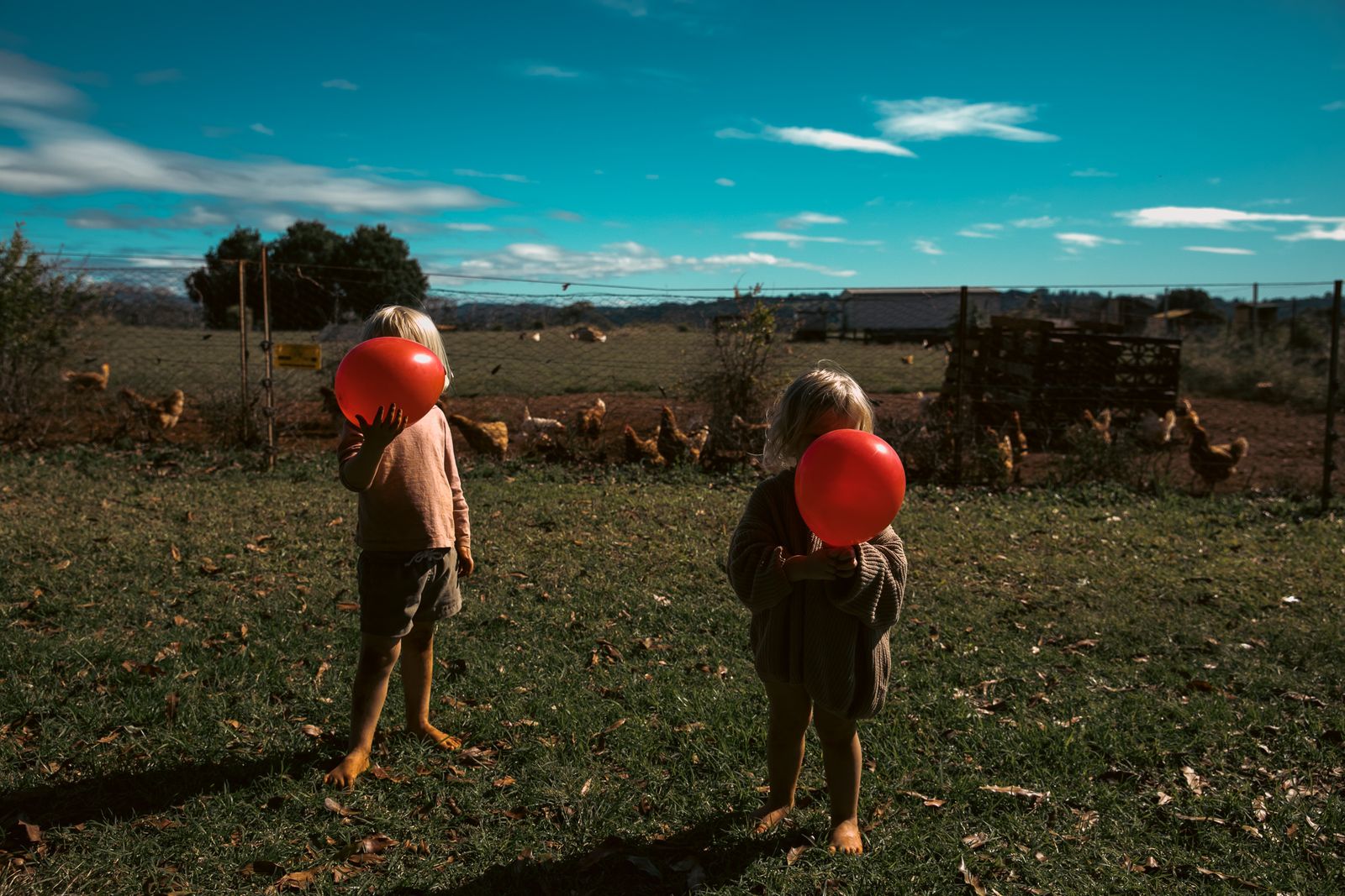 © Chrystal de louise - Happy hens