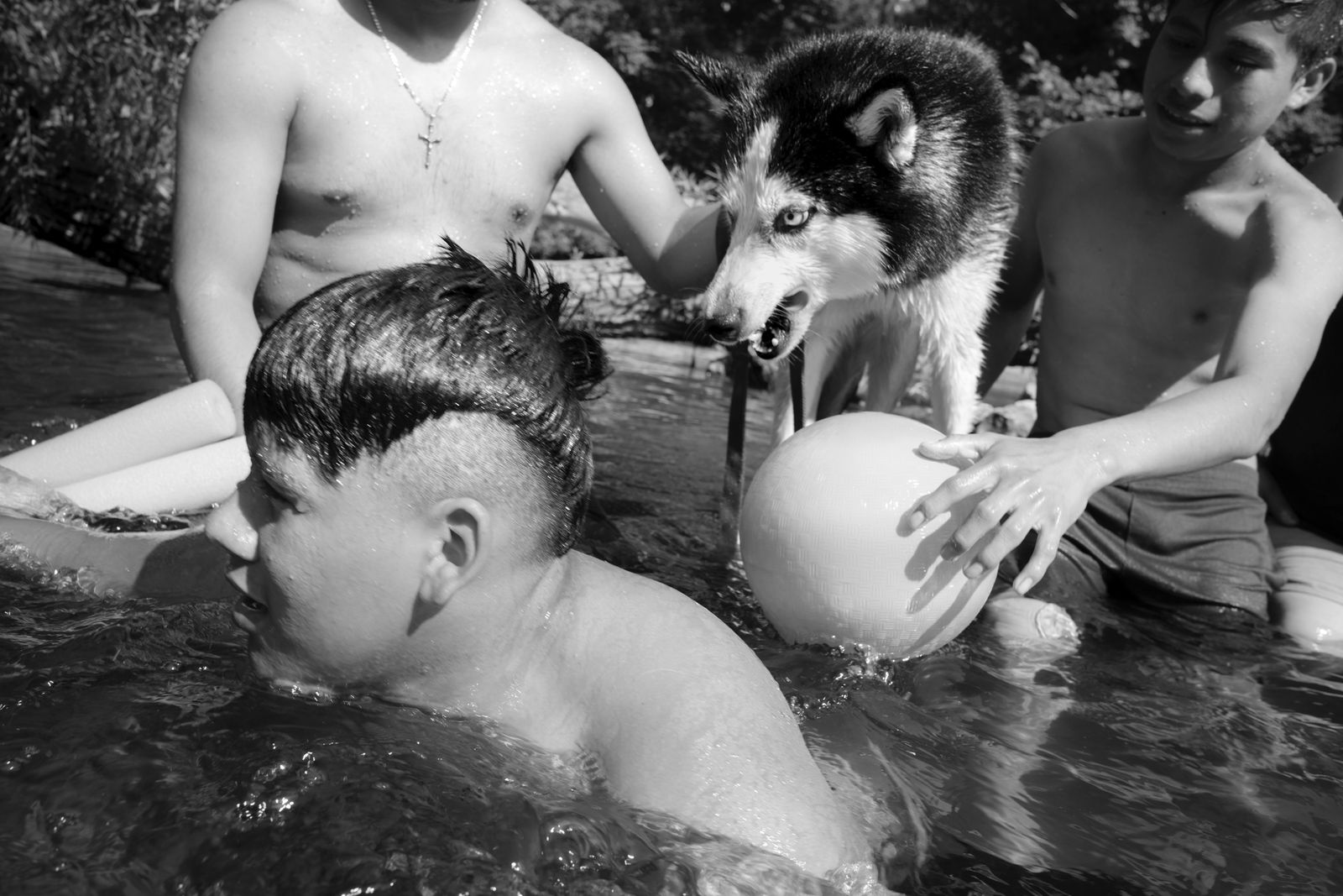 © Caleb Stein - Boys Playing With Their Huskie. The Watering Hole. 2018.