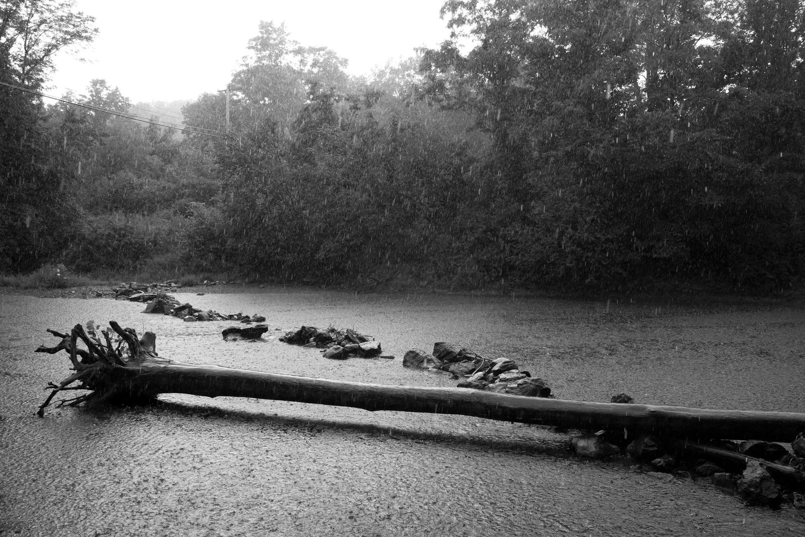 © Caleb Stein - Log in Rain. The Watering Hole. Poughkeepsie, NY. 2020