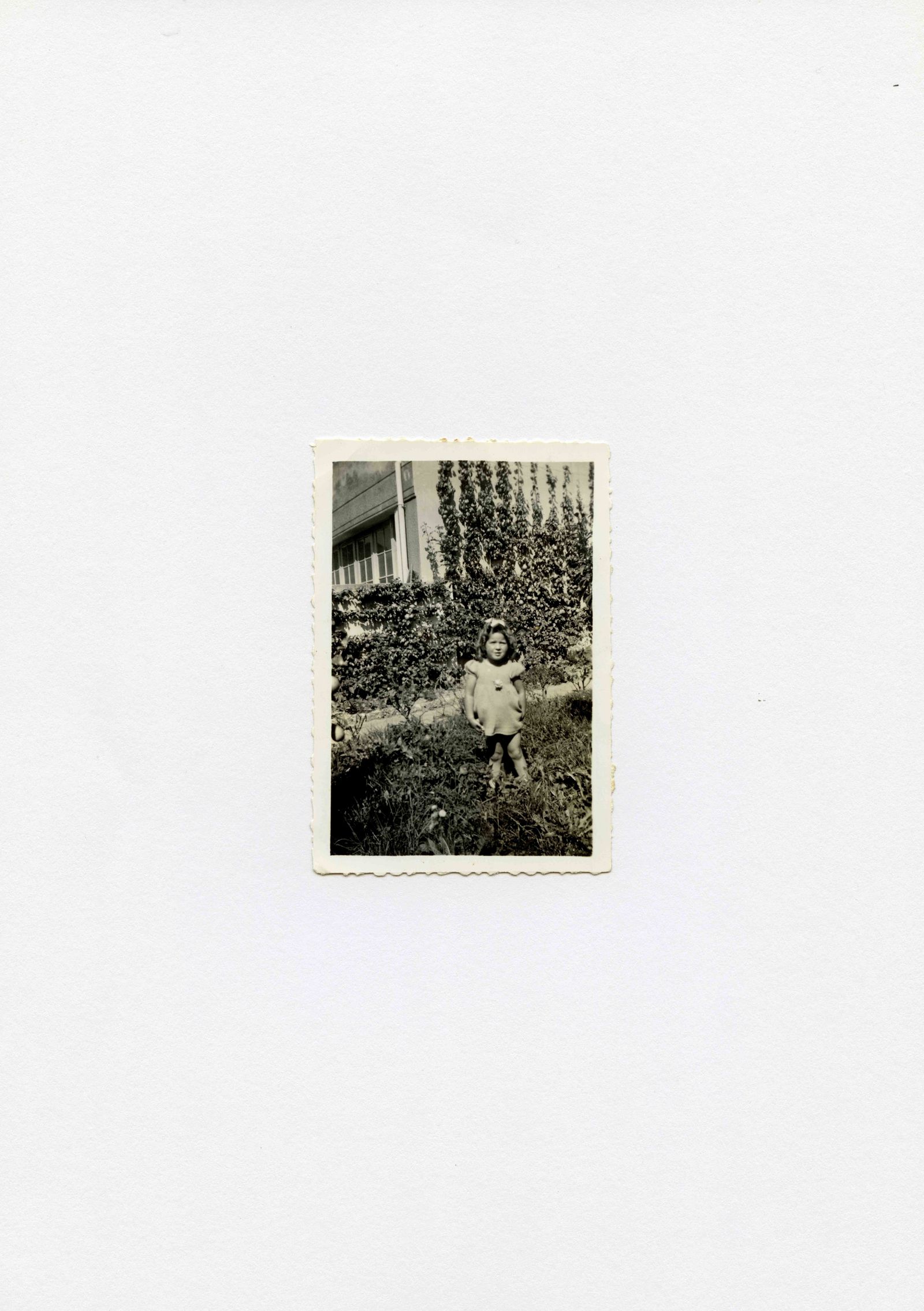 © Vanessa Lucrezia Francia - Image from the Le Jardin d'Iréne photography project