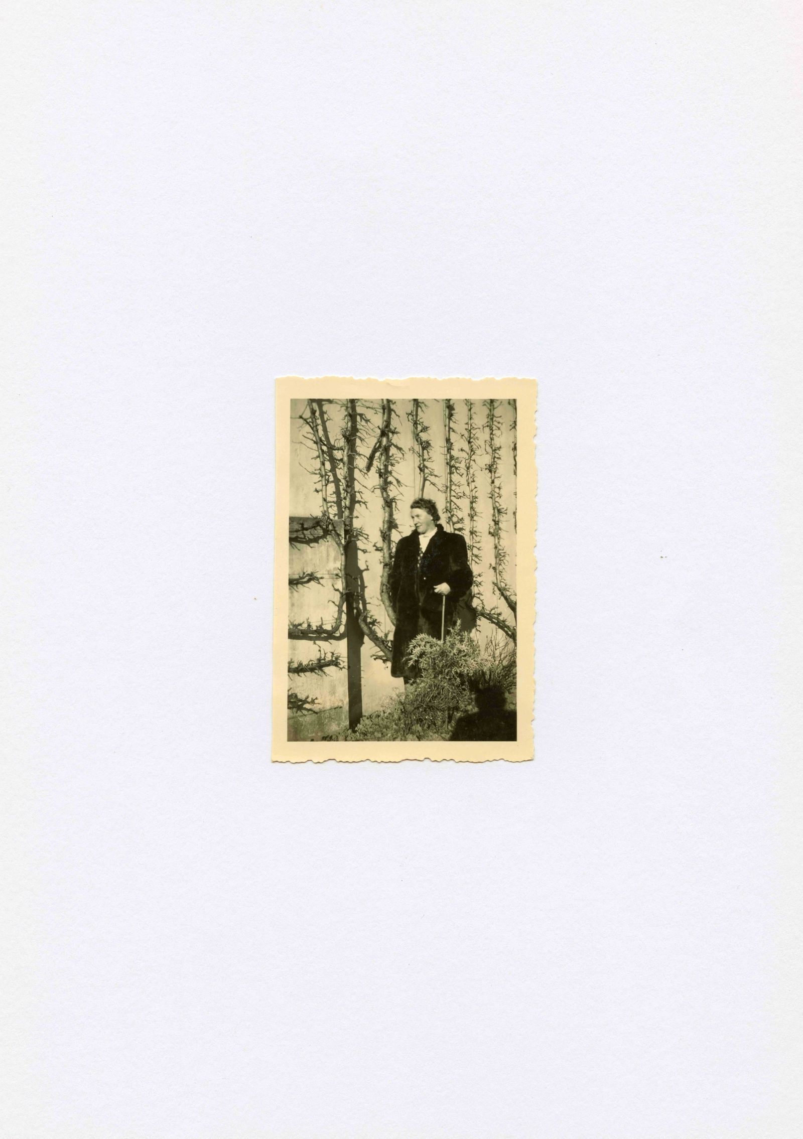 © Vanessa Lucrezia Francia - Image from the Le Jardin d'Iréne photography project