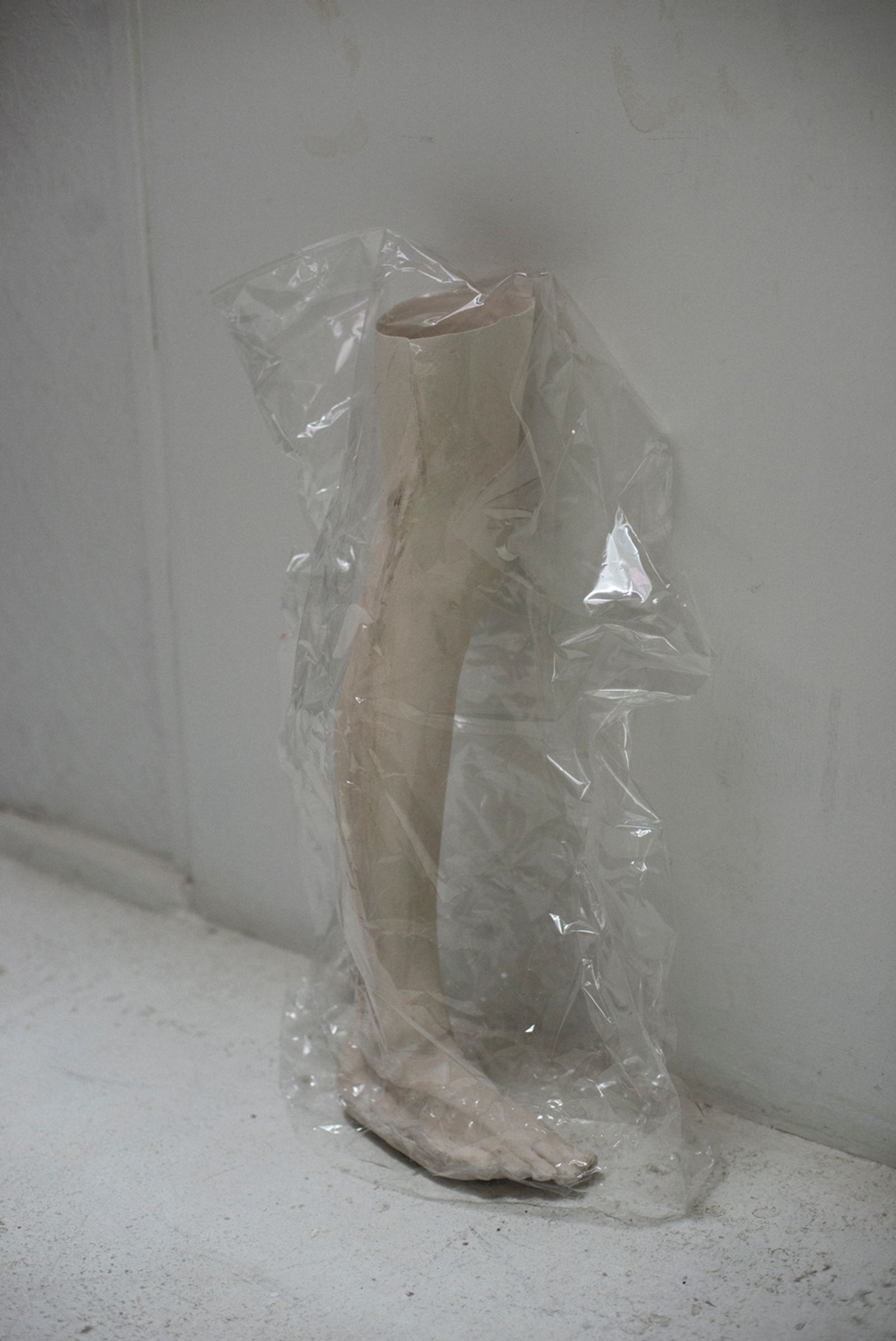 © Phelim Hoey - Porcelain replica of my leg