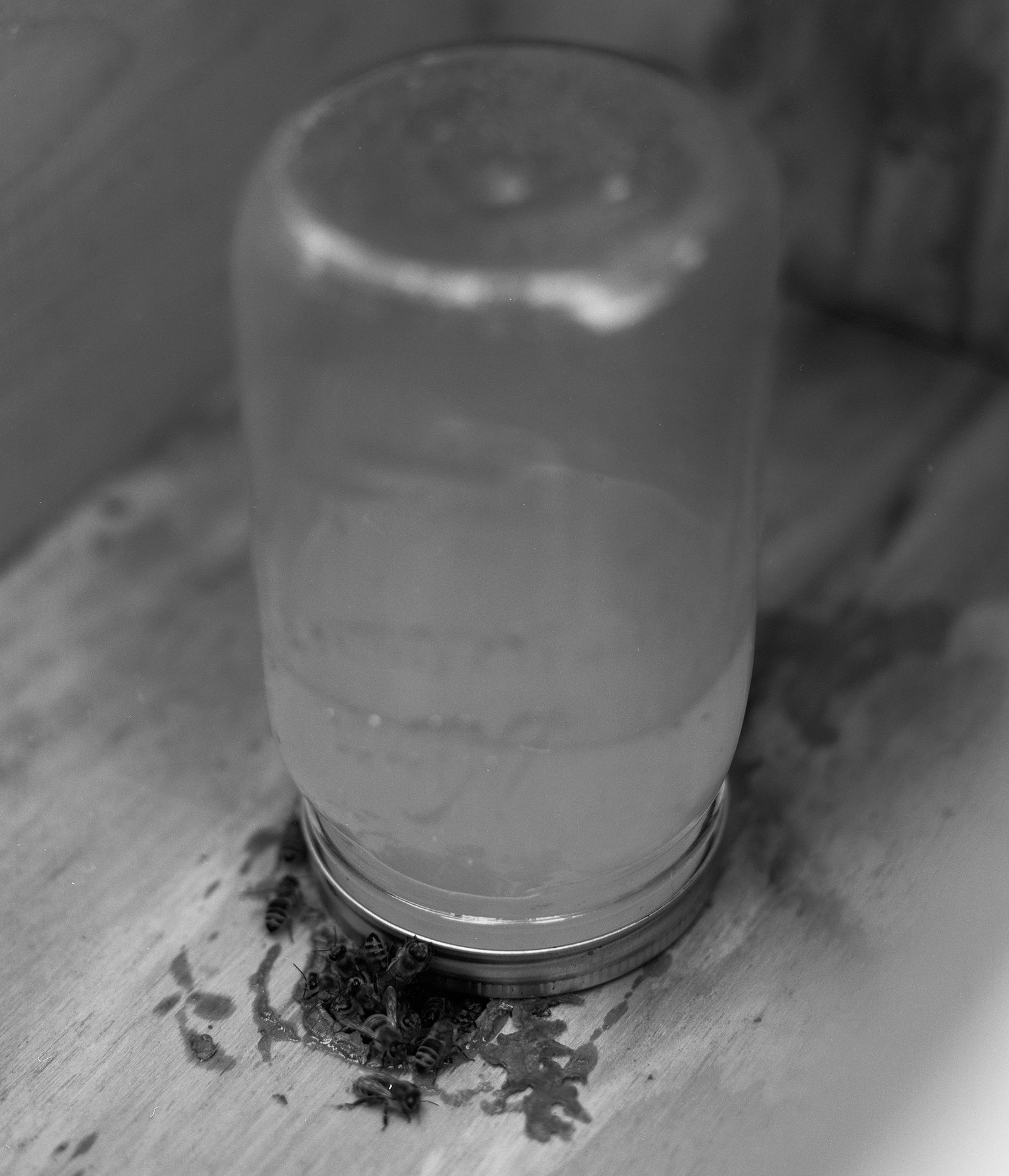 © Tori Ferenc - A jar with sugar water for the bees.