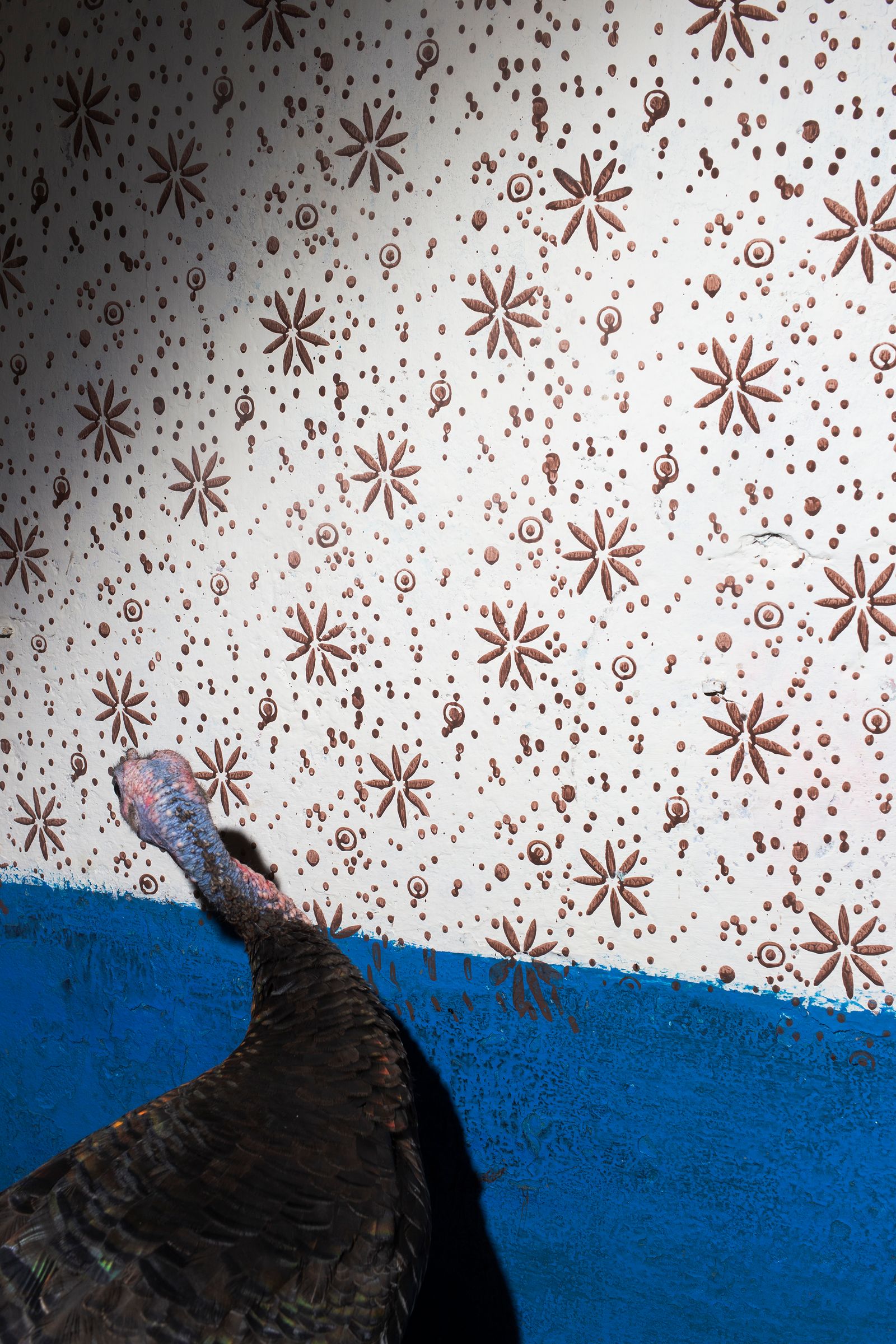 © Mehbuba Mahzabeen Hasan - Image from the Lost in Transition photography project