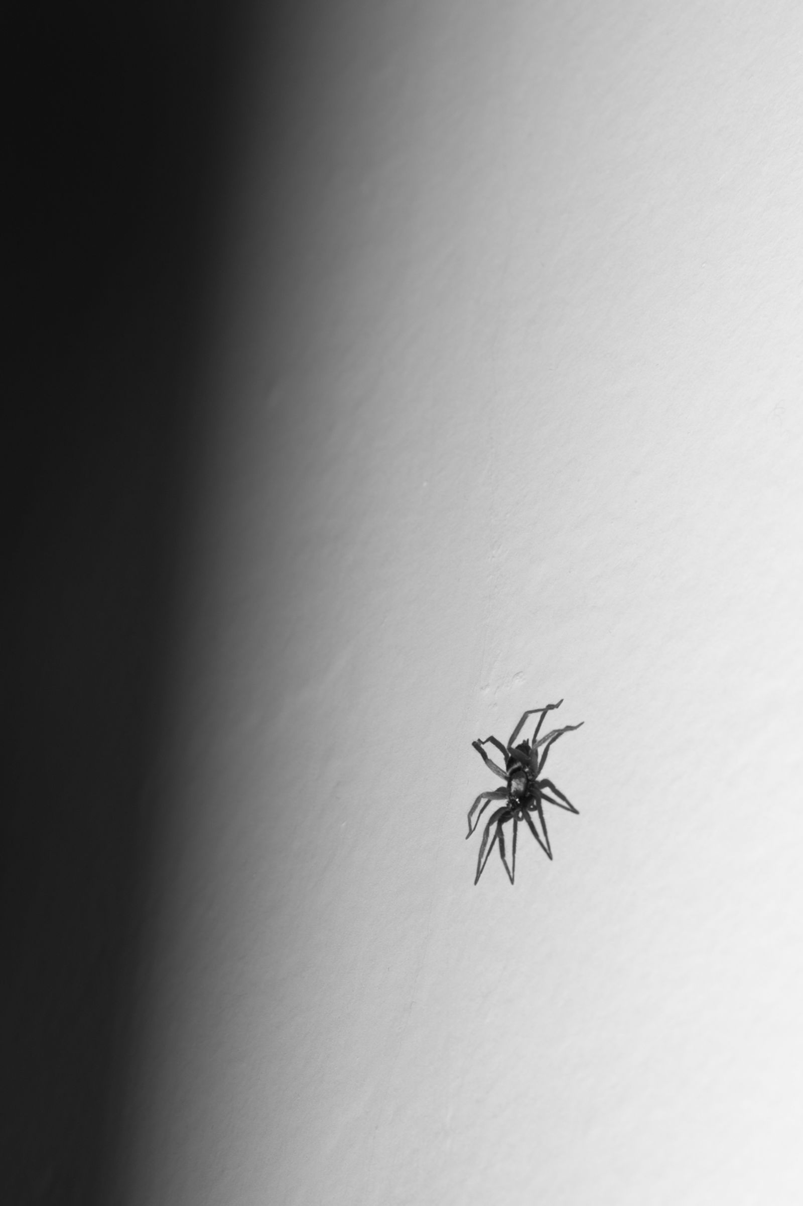 © Kat Bawden - Image from the Perceptual Isolation photography project