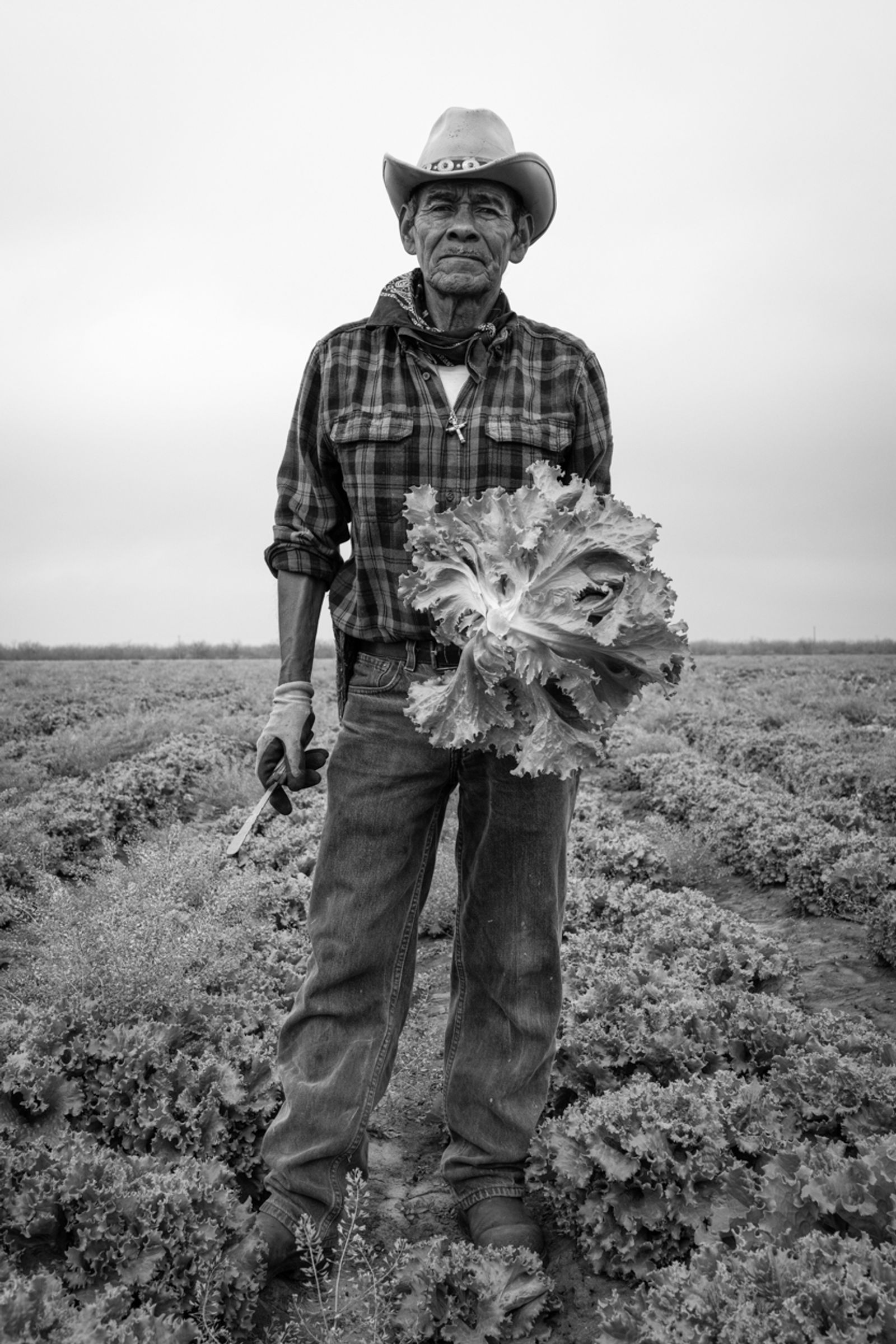 © Richard Sharum - Migrant Worker With Cabbage and Tool. Pearsall, Texas. 03.24.2021