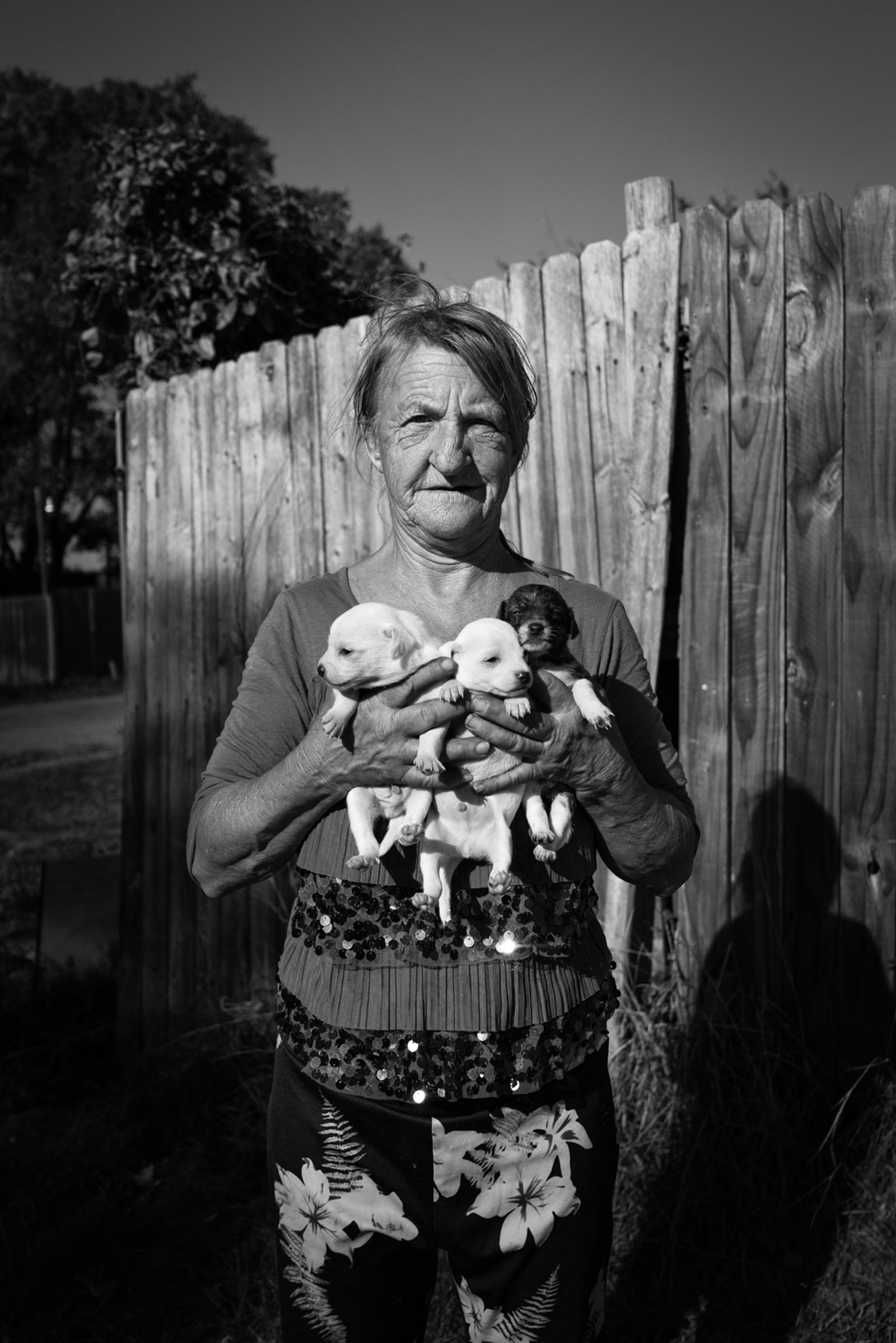 © Richard Sharum - A woman with her three new puppies. 2019.