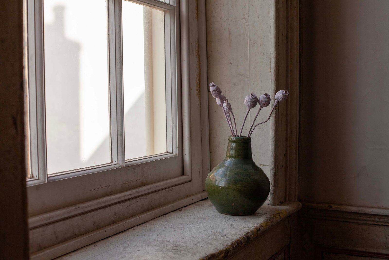 © Heather McDonough - Poppy Heads