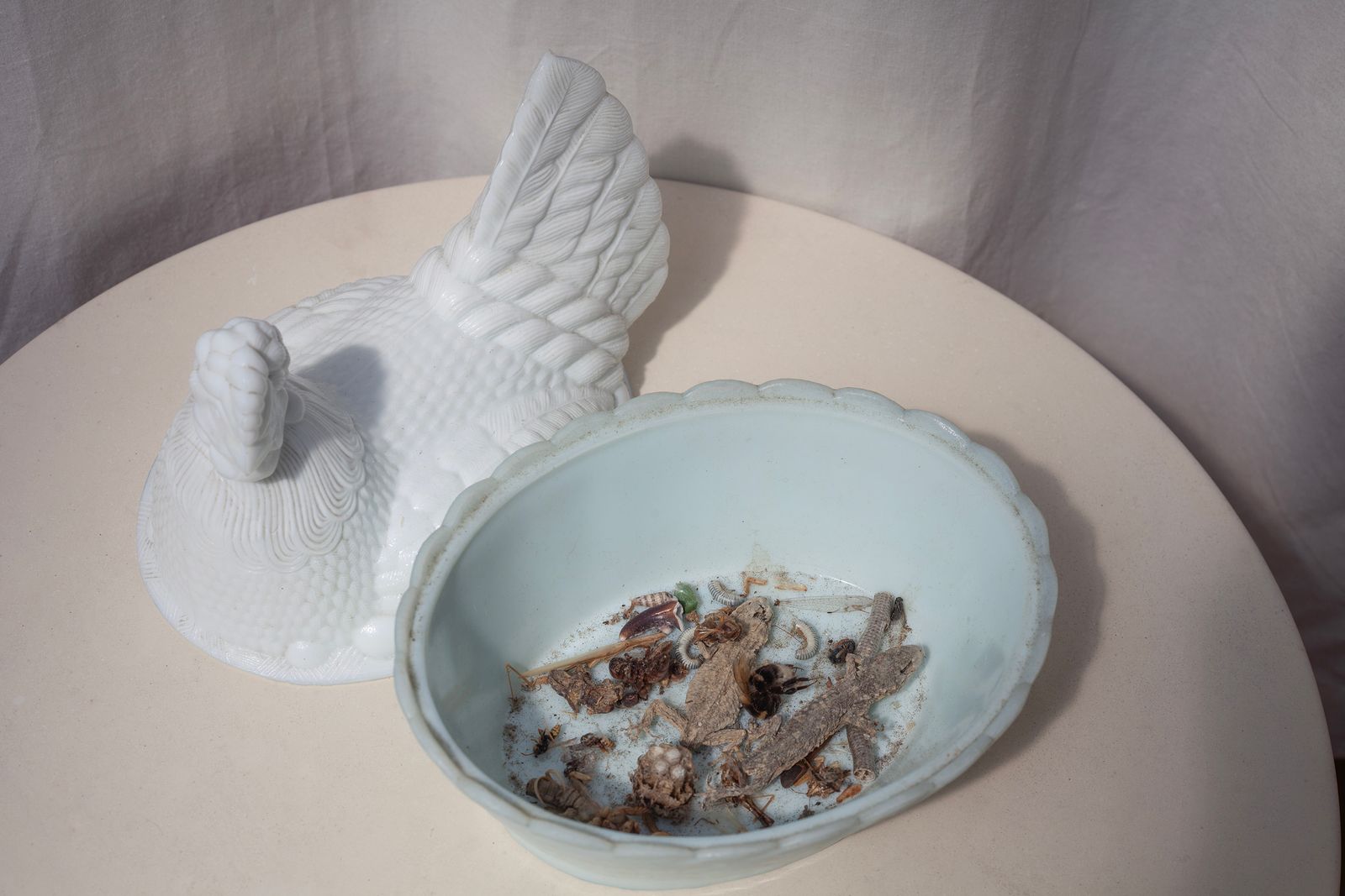 © Heather McDonough - The Ceramic Chicken