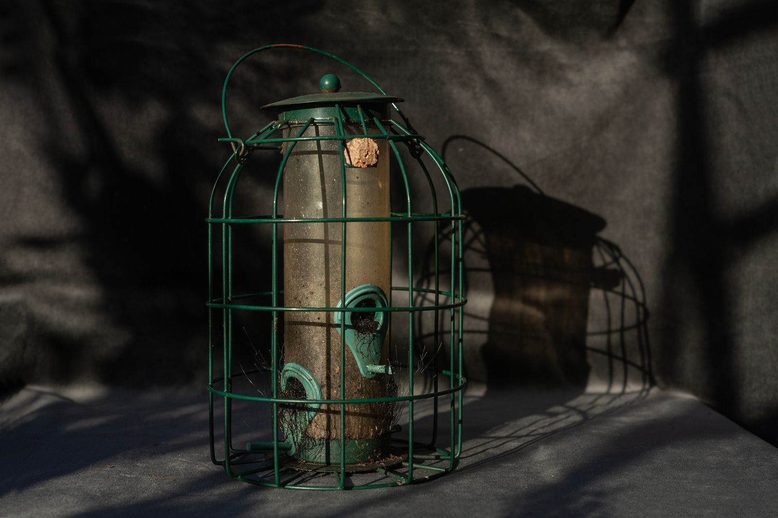 © Heather McDonough - Subtle Growth