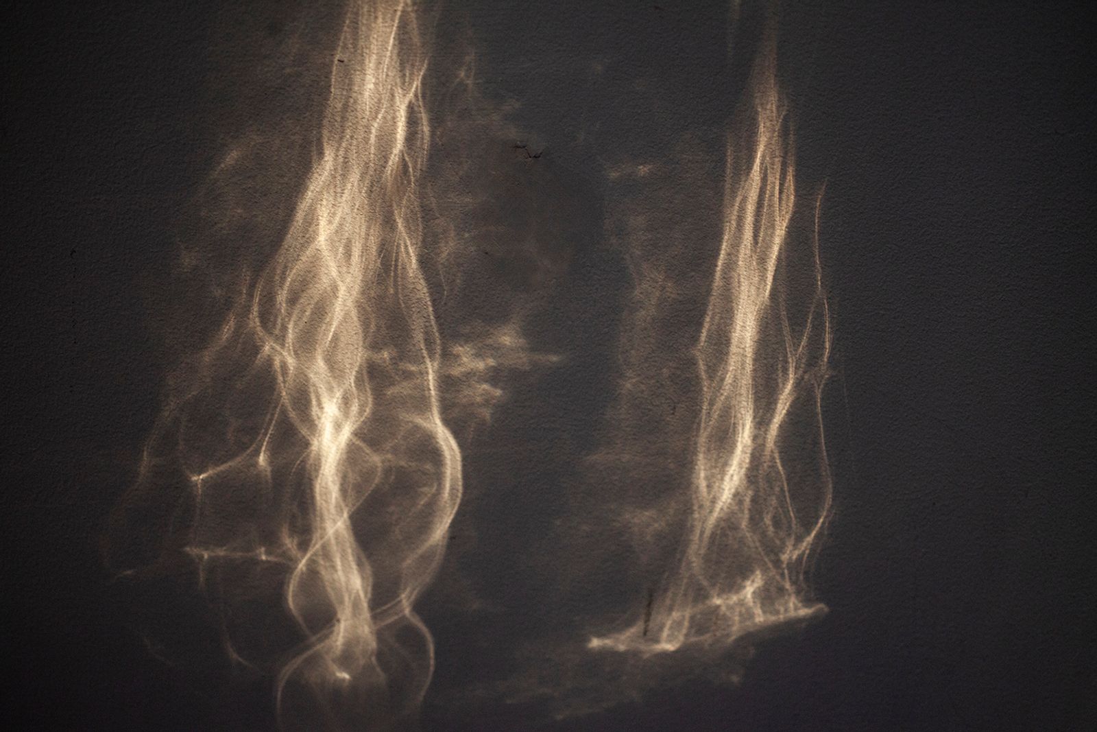 © Heather McDonough - bright April sunshine